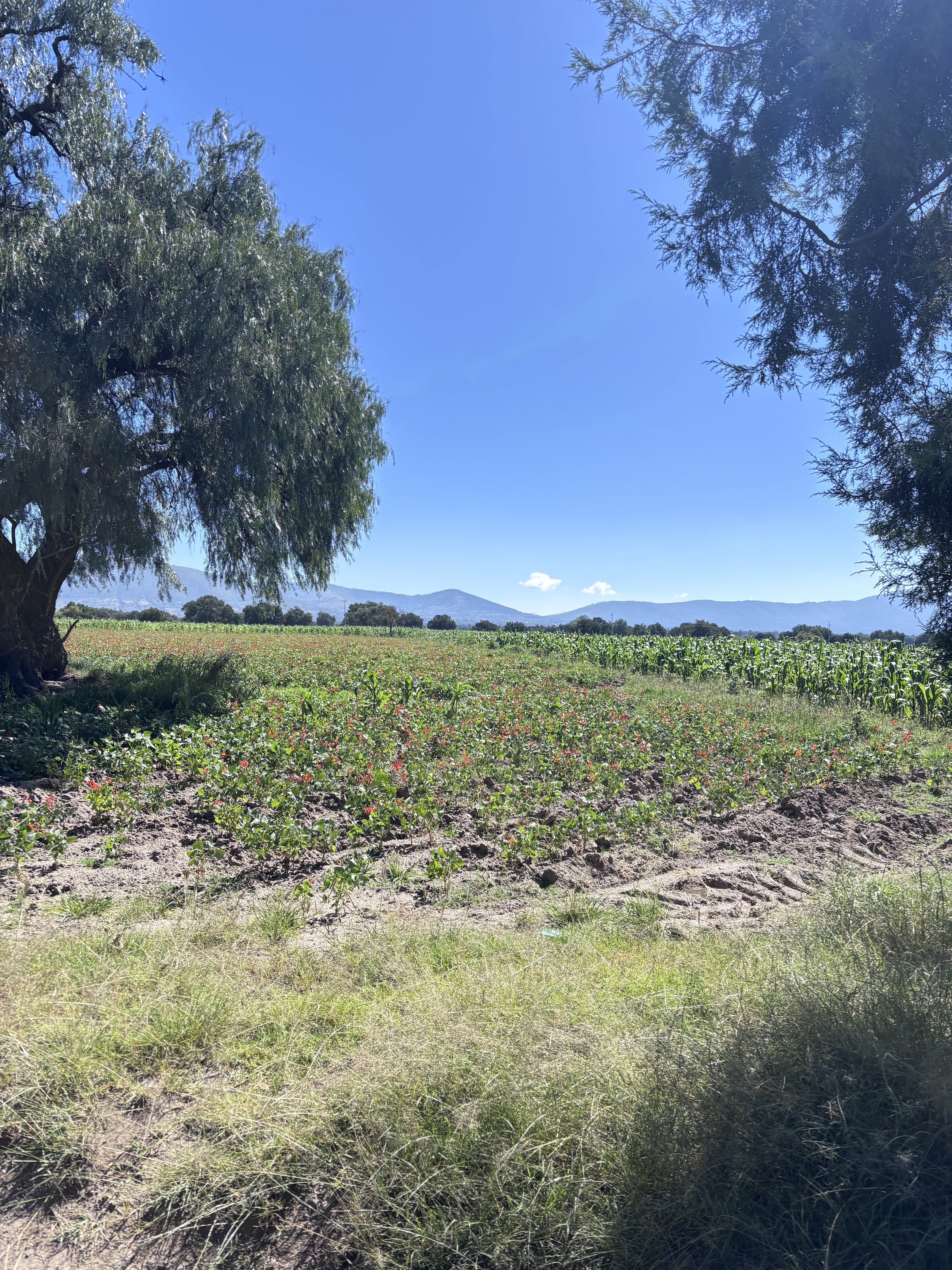Rodada vacacional 🚴‍♂️