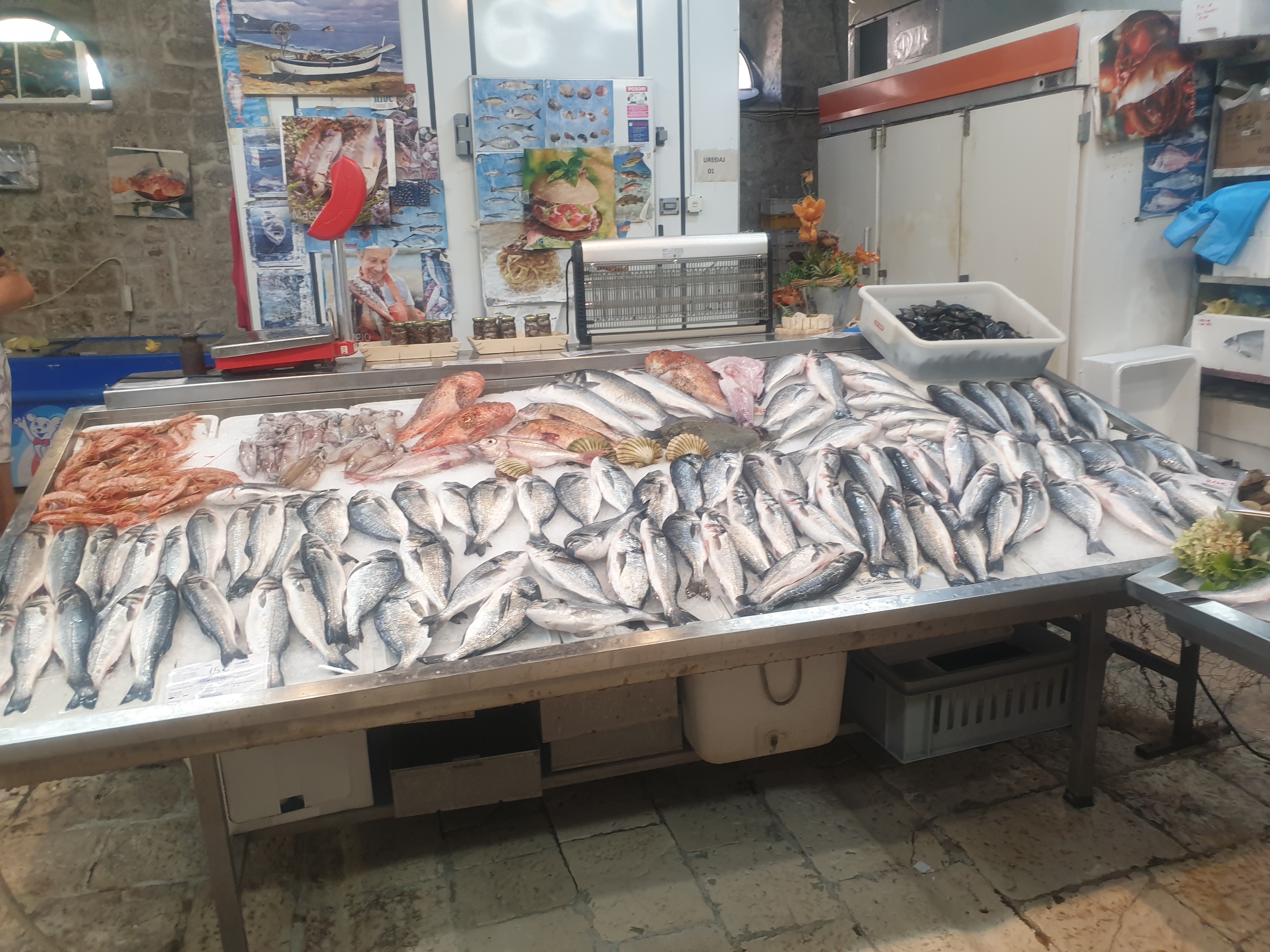 Foto 2 de la ruta de Bikemap "Bufalići 1A nach Bufalići 1A" Foto 2 de la ruta de Bikemap "Bufalići 1A nach Bufalići 1A"