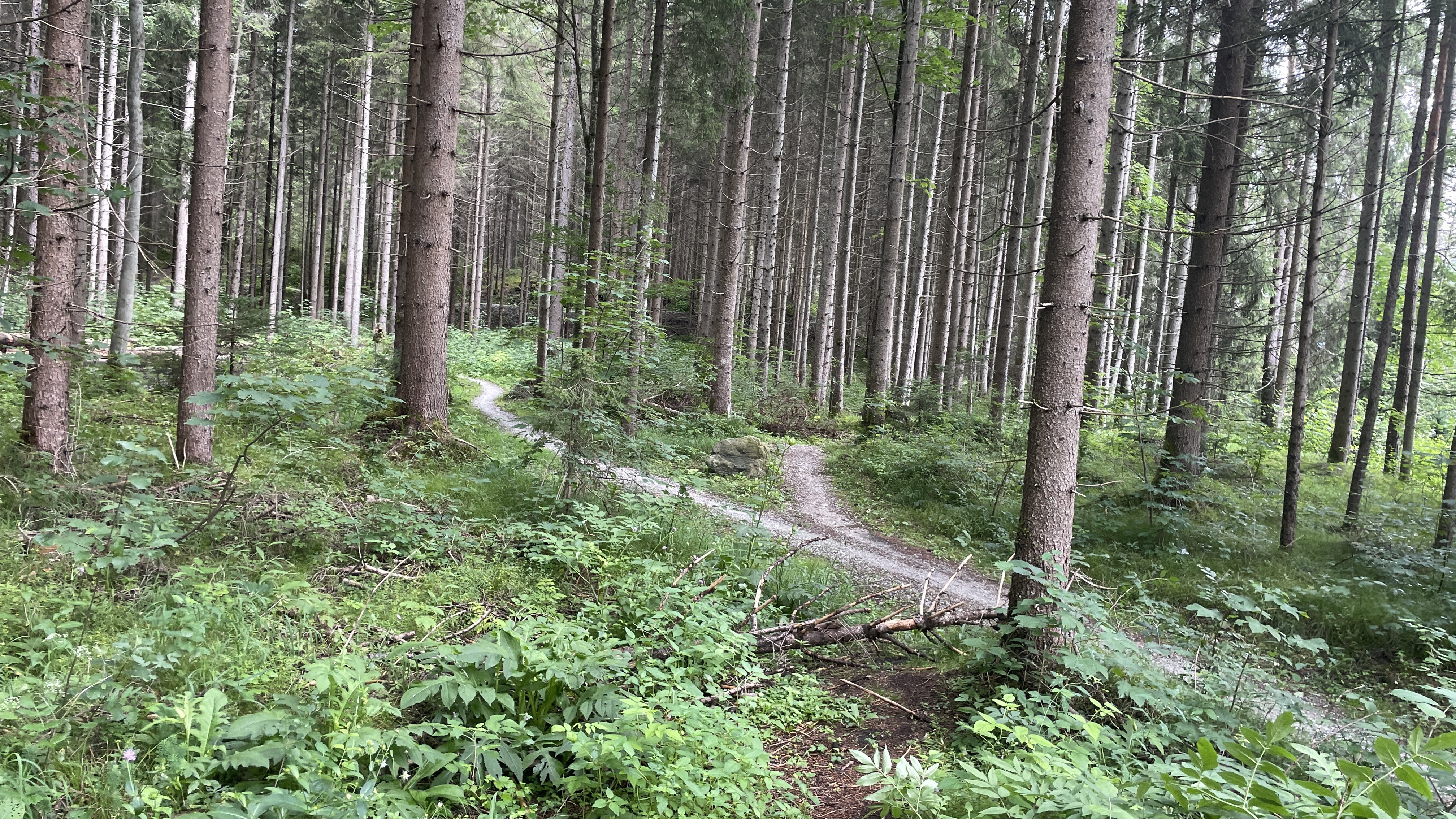 Gumpenberg, Haus im Ennstal - Gumpenberg, Haus im Ennstal