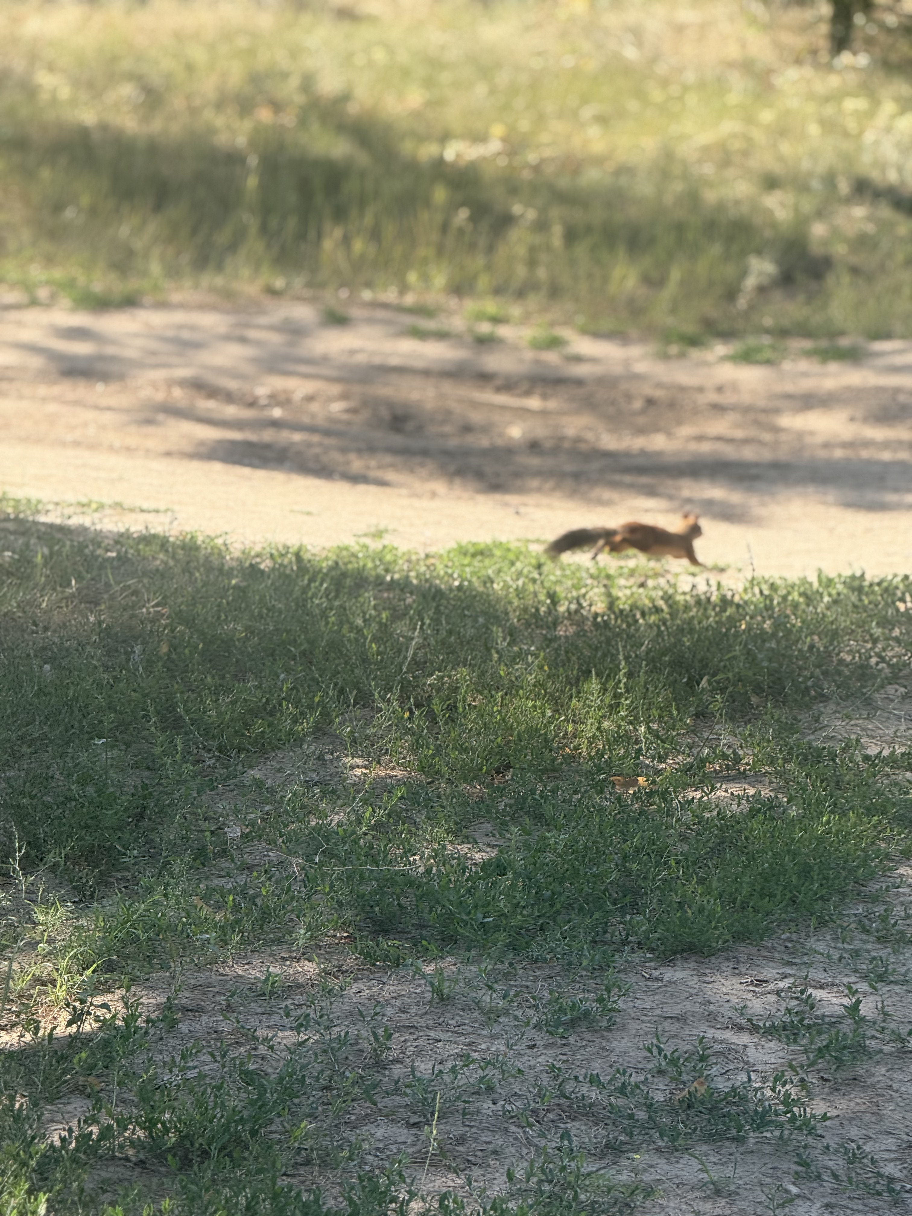 Photo 8 de l’itinéraire Bikemap « улица Маршала Воронова, Волгоград до улица Маршала Воронова, Волгоград » Photo 8 de l’itinéraire Bikemap « улица Маршала Воронова, Волгоград до улица Маршала Воронова, Волгоград »