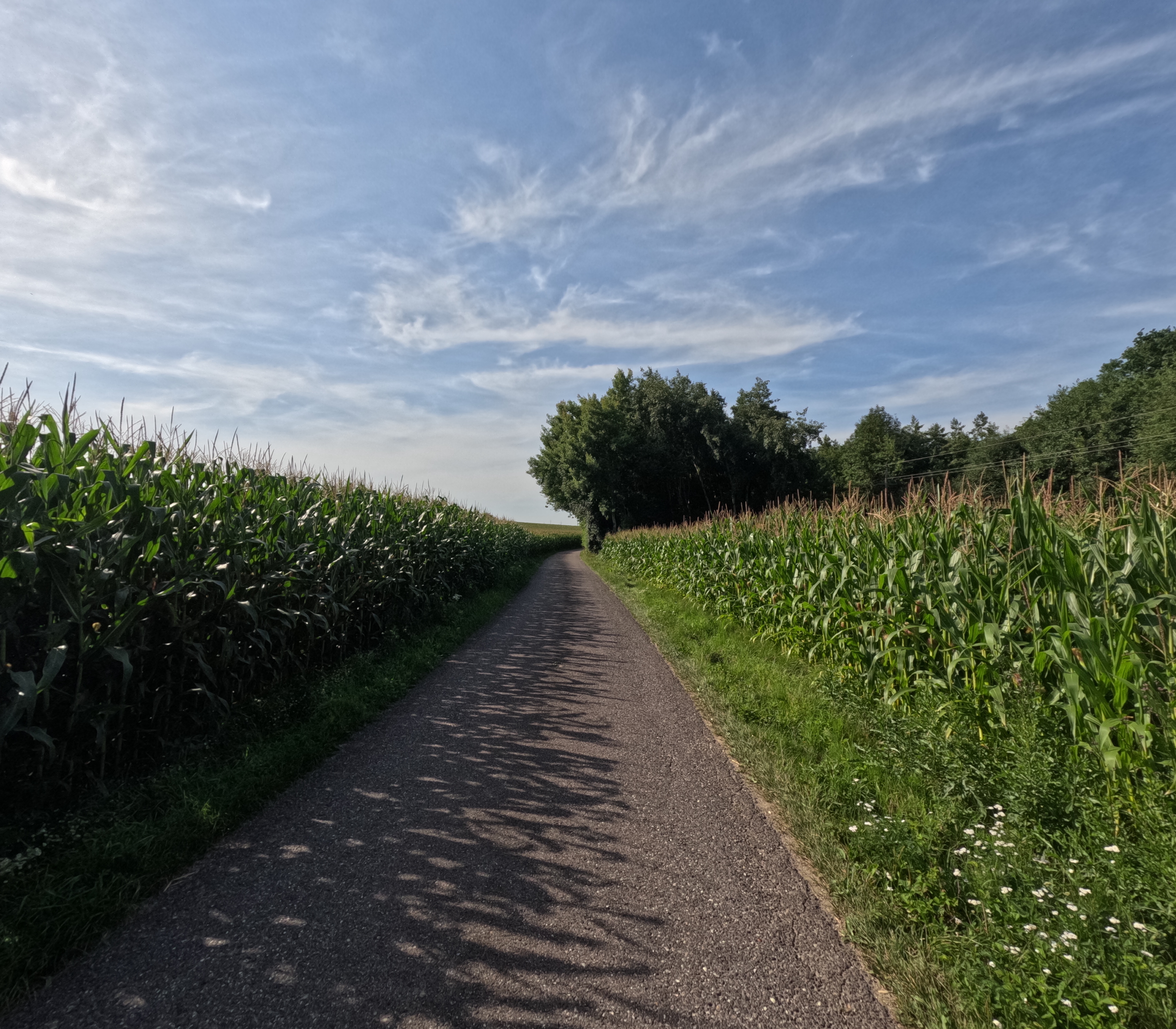 Von Neuhofen an der Krems nach Steyr. 🚴‍♂️🚴