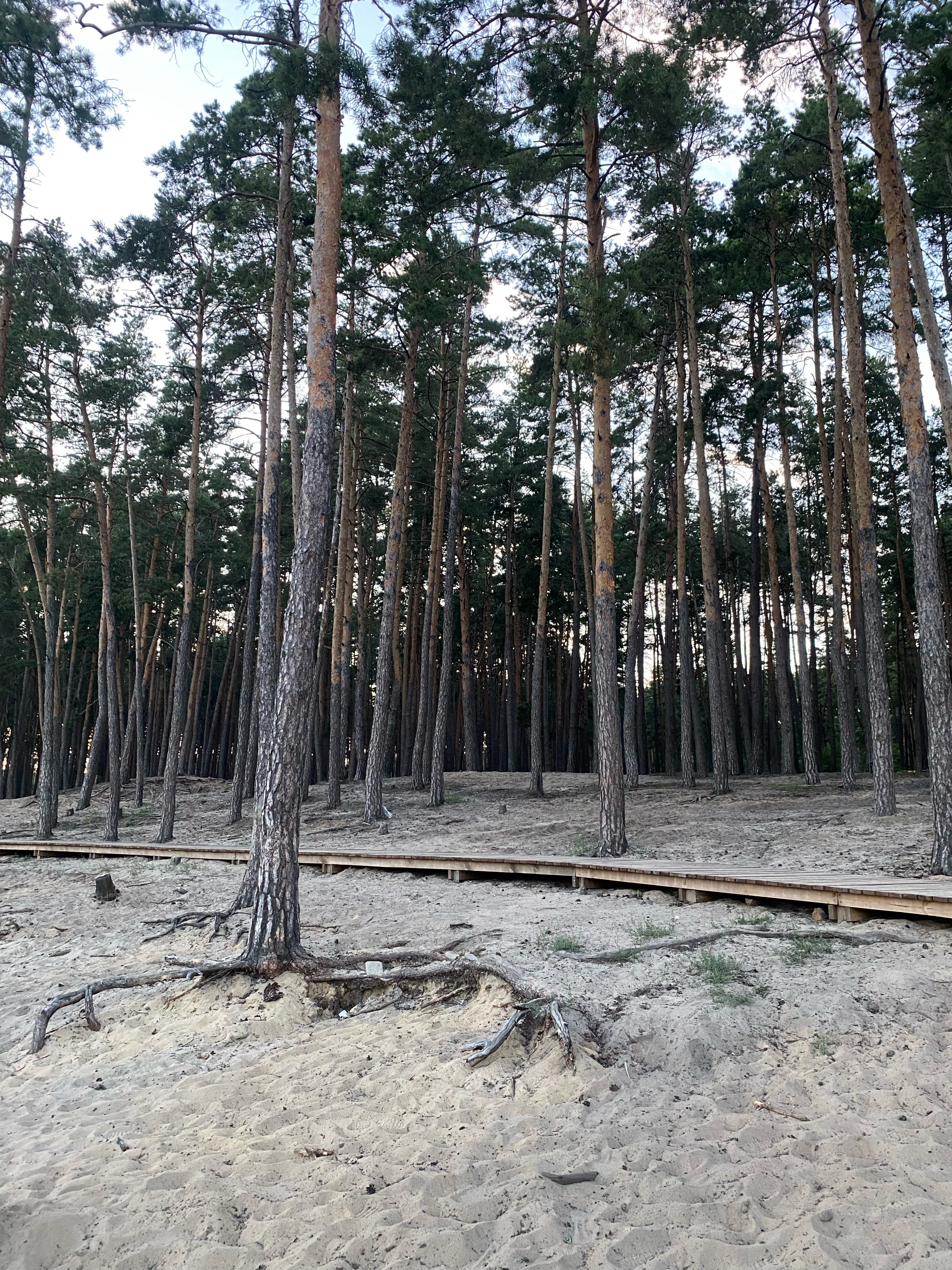 улица Бойцов 9-й Дивизии, Курск до Сеймский, Курск