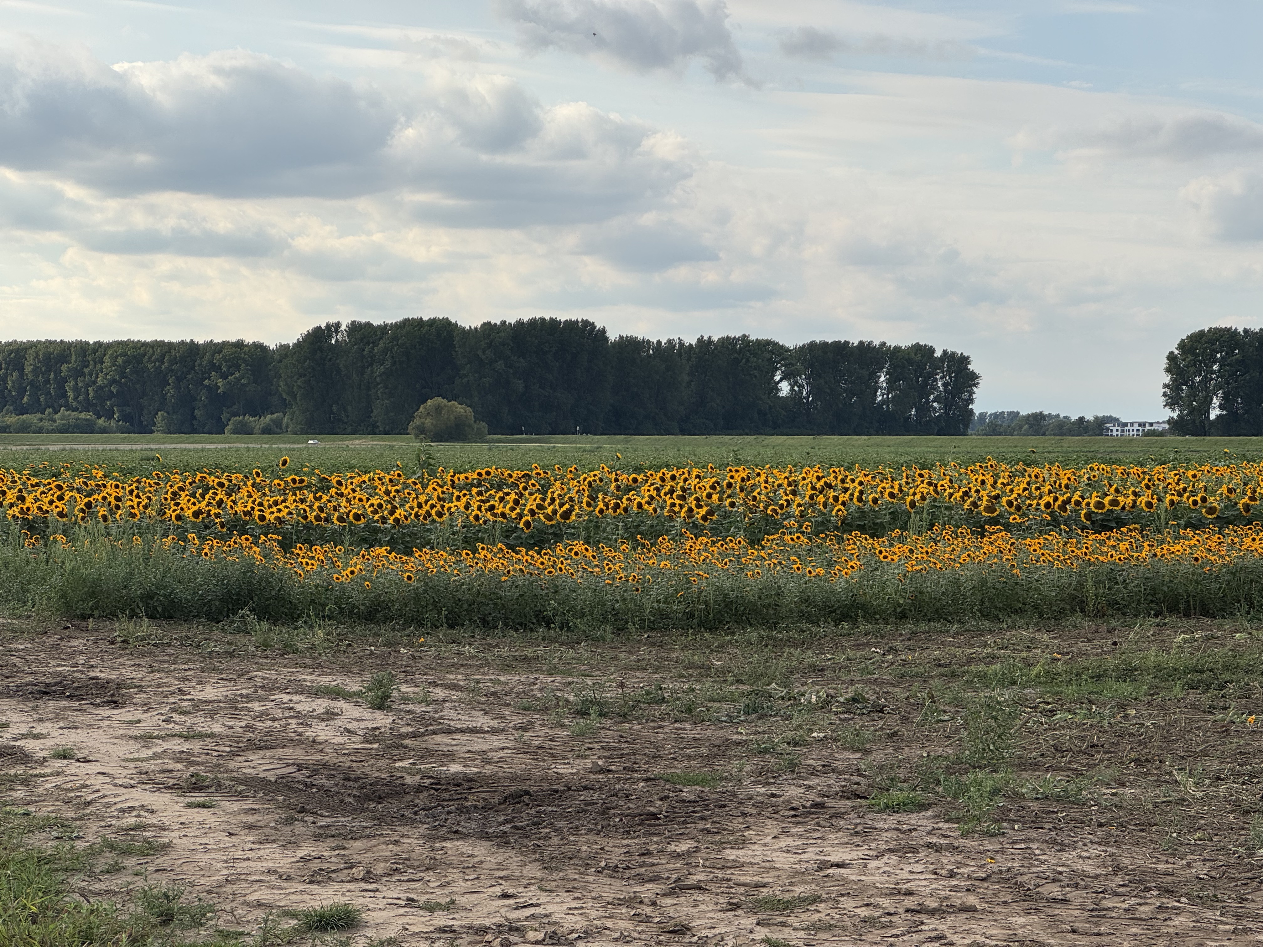 Heerdter Landstraße, 杜塞尔多夫 to Heerdter Landstraße, 杜塞尔多夫