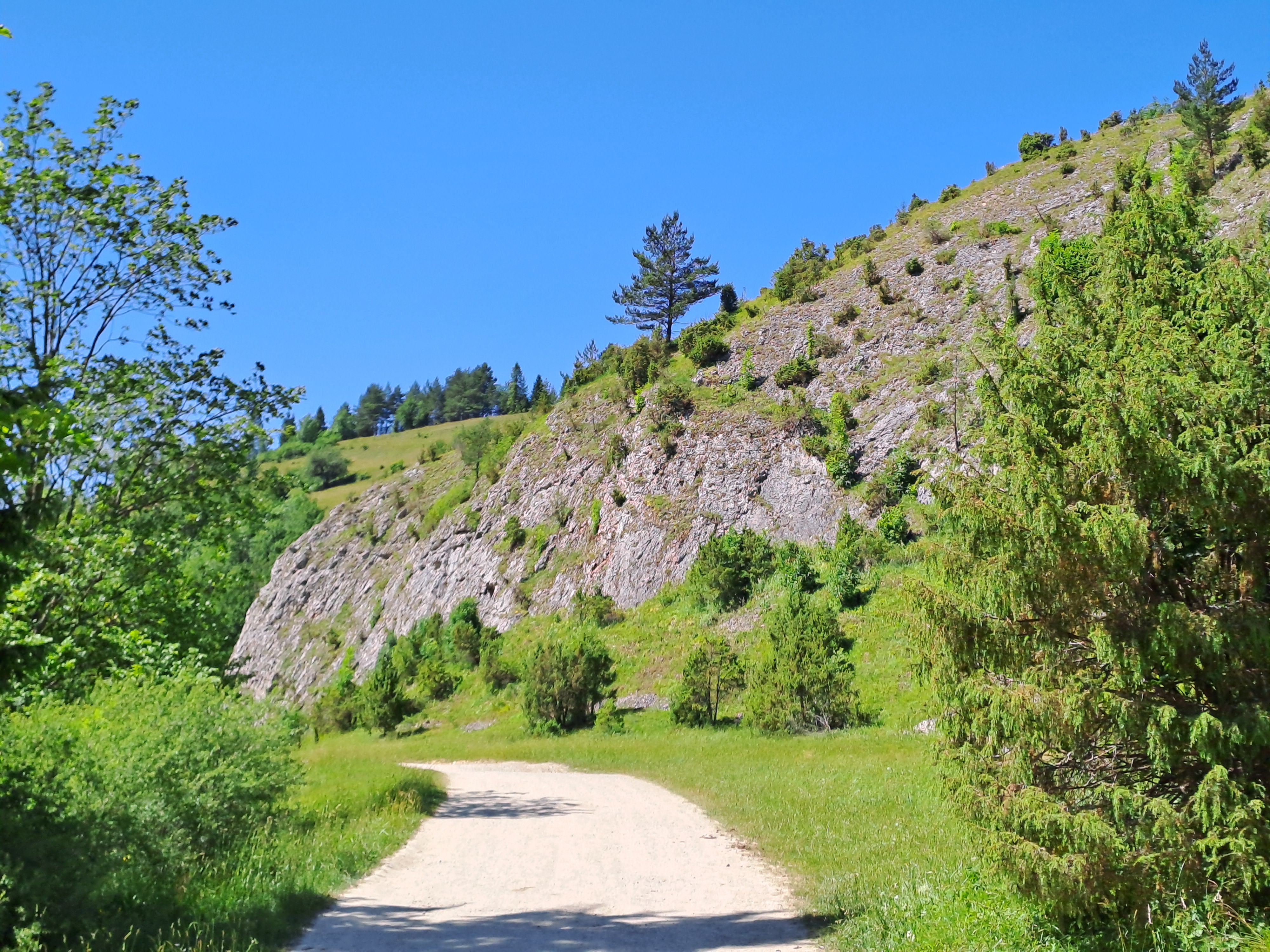 Zdjęcie 7 trasy Bikemap „MTB Jaworki- pod Zlomisty Wierch-Jaworki”