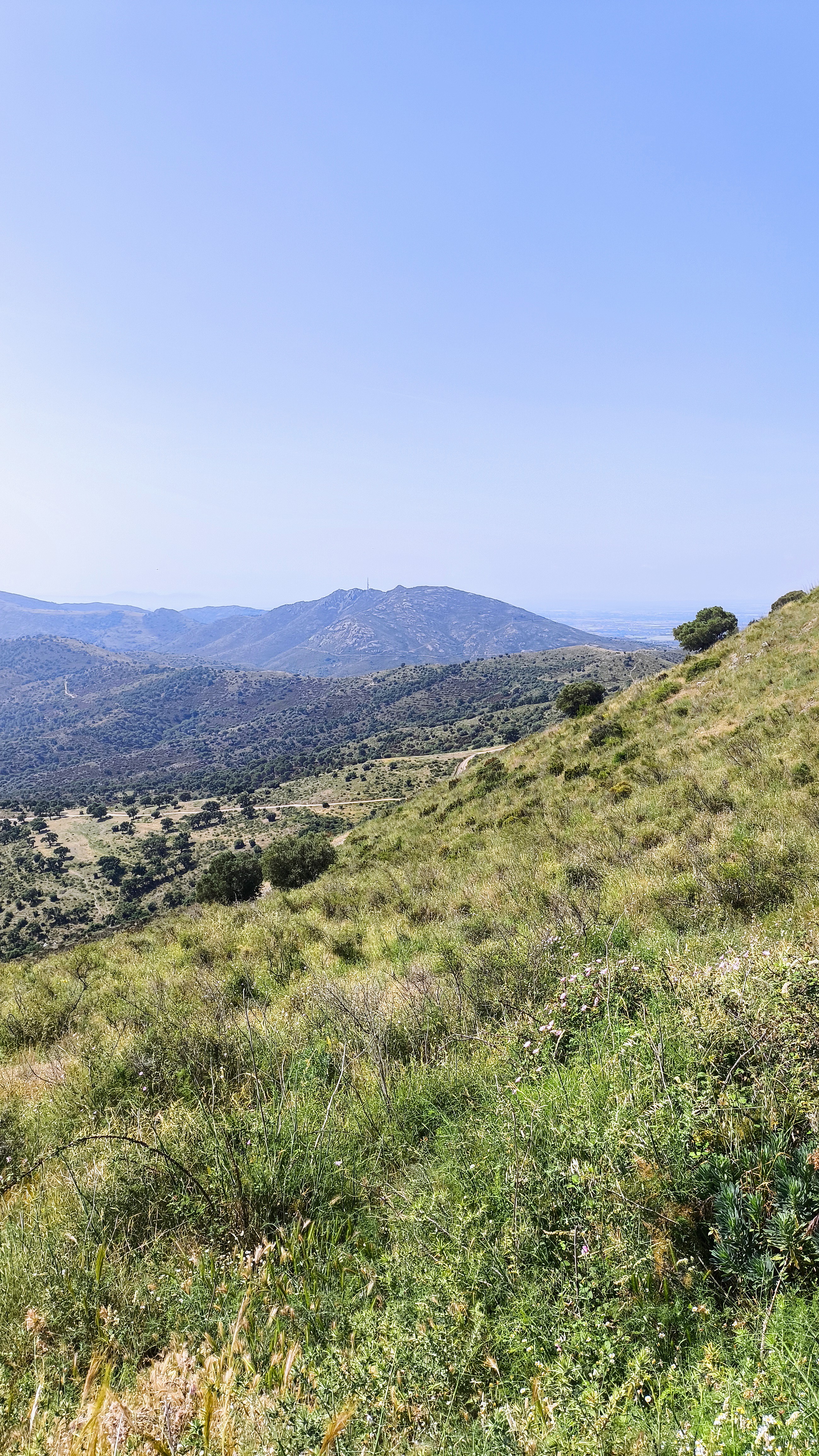 17 COLERA Molinàs Tres-Camins Mas-Patiràs Puig-de-les-Aigües St-Silvestre Valleta Vilajuïga Pau Palau-Savardera Mas-Fumats Roses