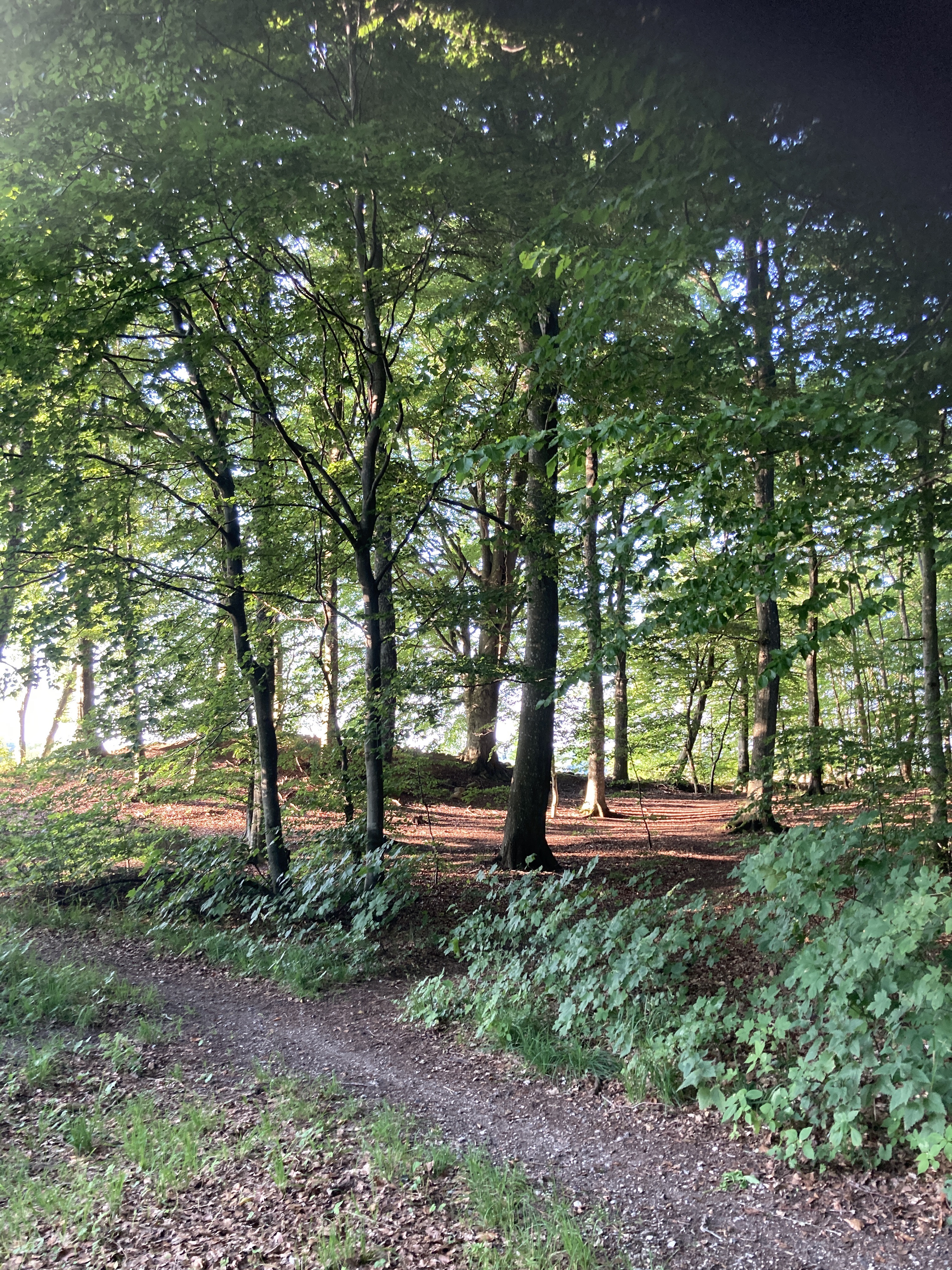 Ahornvej, Helsinge to Søndre Jernbanevej, Hillerød