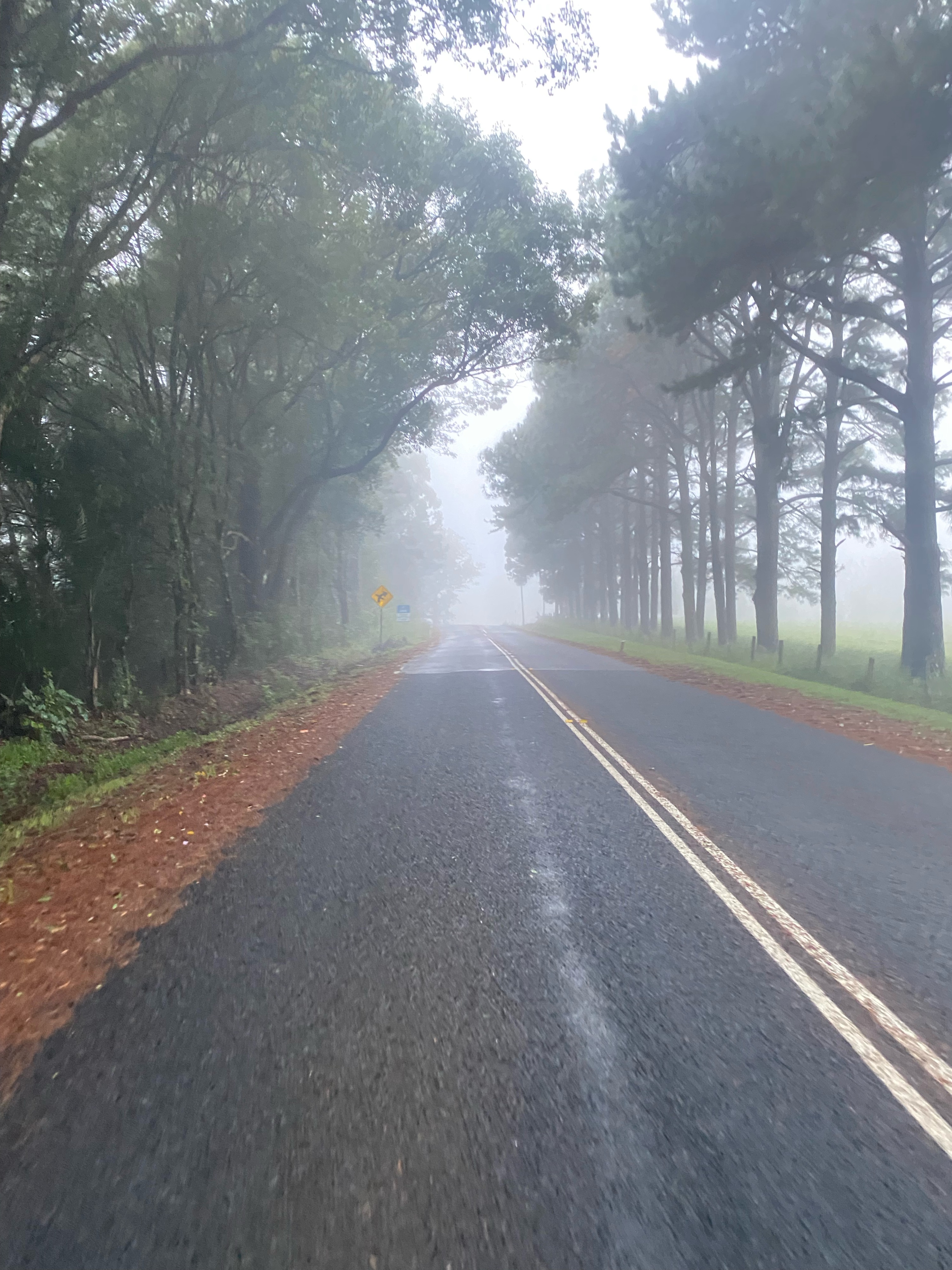 Alstonville - back via Eltham and Numulgi