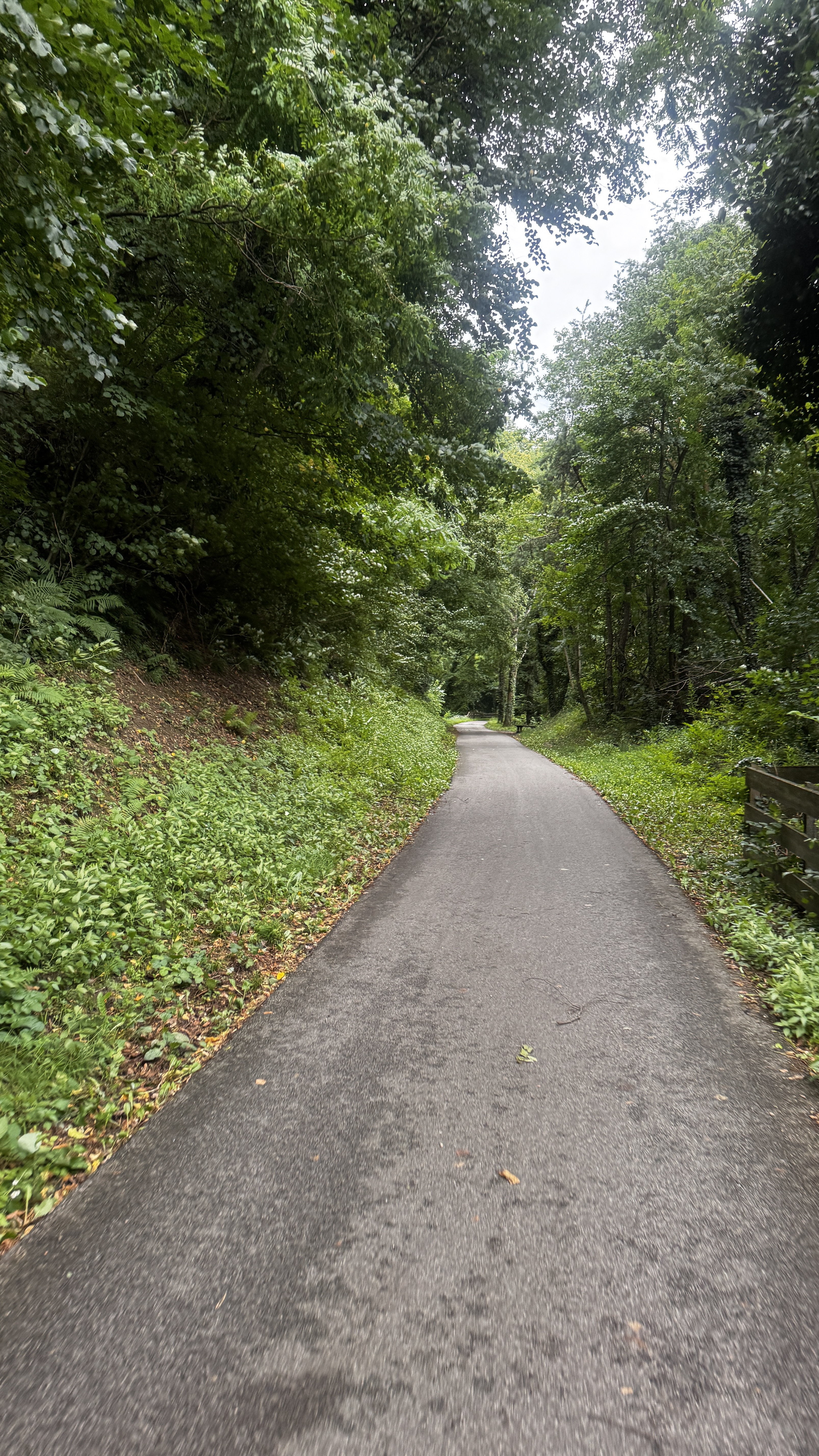 Via Municipio, Naturno to Via Rittstein, Appiano Sulla Strada Del Vino