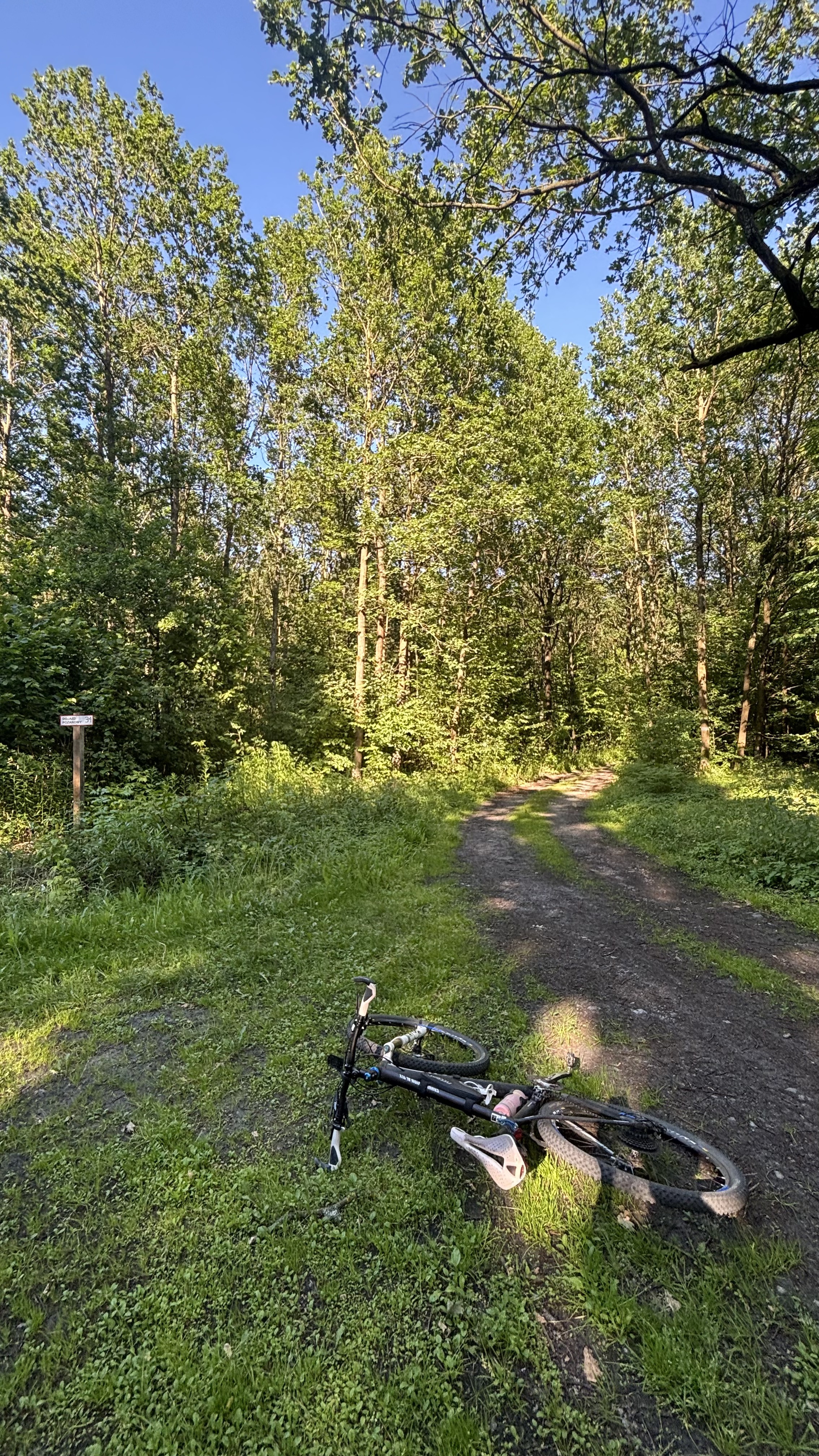 Zdjęcie 8 trasy Bikemap „Króla J Sobieskiego, Puszcza Mariańska do Króla J Sobieskiego, Puszcza Mariańska”