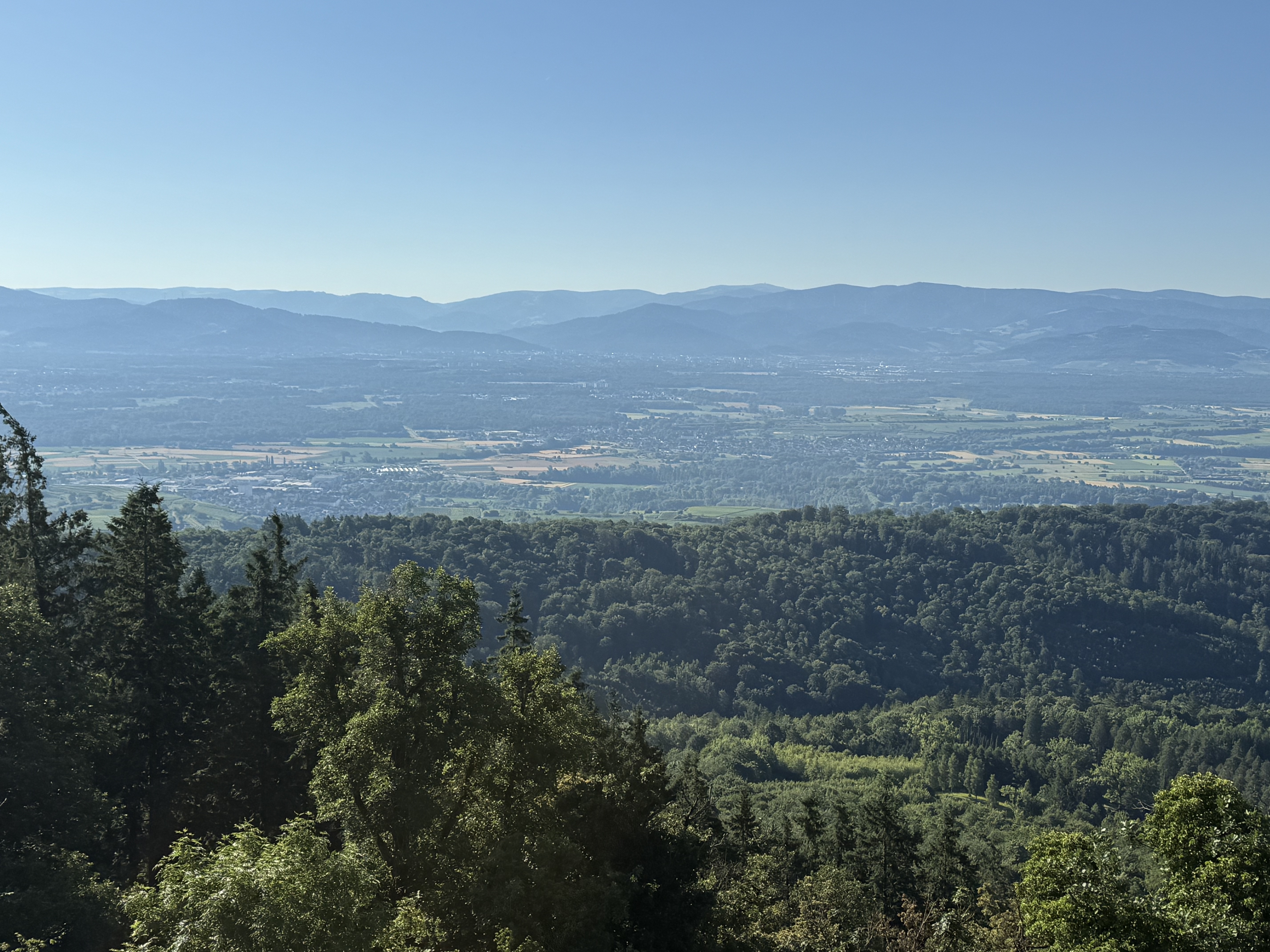 Photo 5 of the Bikemap route "Fohrenbergstraße, Ihringen nach Fohrenbergstraße, Ihringen" Photo 5 of the Bikemap route "Fohrenbergstraße, Ihringen nach Fohrenbergstraße, Ihringen"