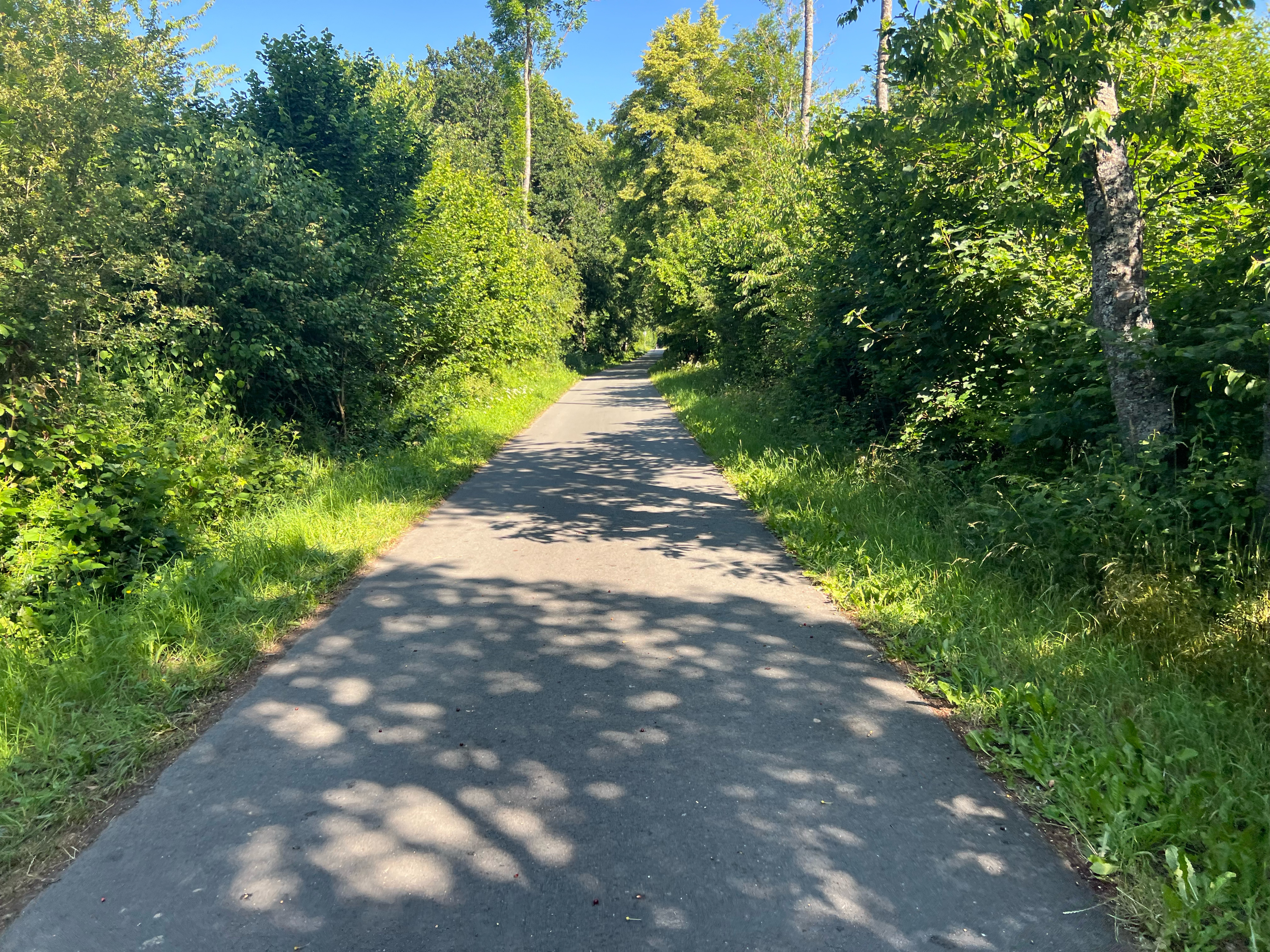 Linspher-Radweg Runde vom Center Parcs