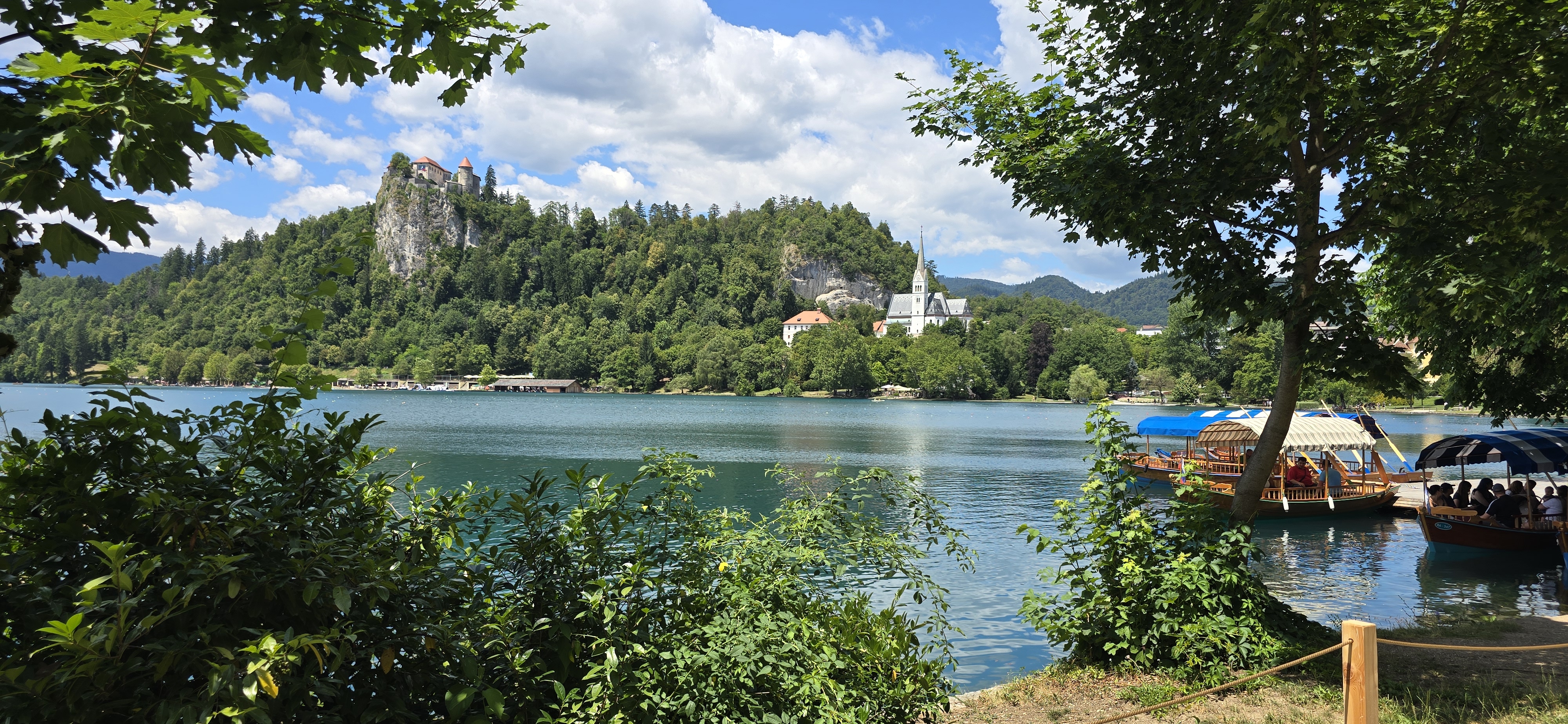Trg Osvobodilne fronte - Borovška cesta
