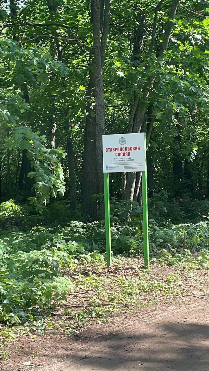 Foto 2 der Bikemap-Route "веном" Foto 2 der Bikemap-Route "веном"