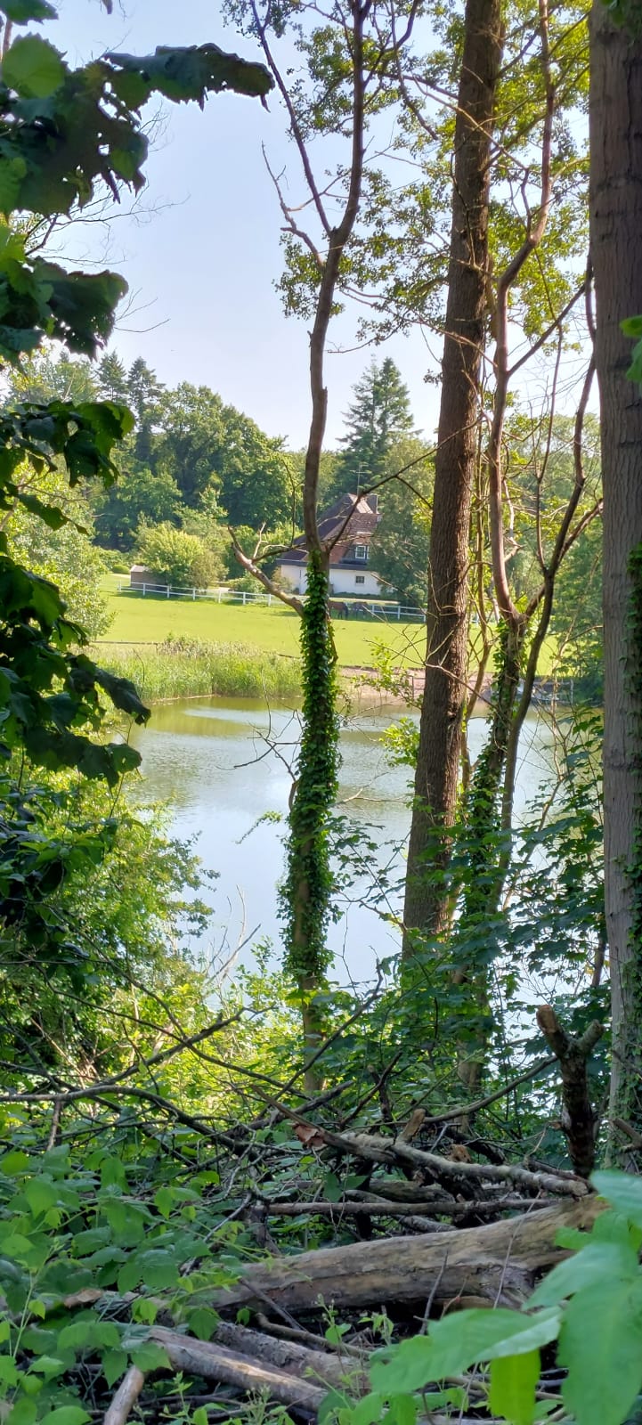 Photo 3 de l’itinéraire Bikemap « Runde um Plöner See » Photo 3 de l’itinéraire Bikemap « Runde um Plöner See »