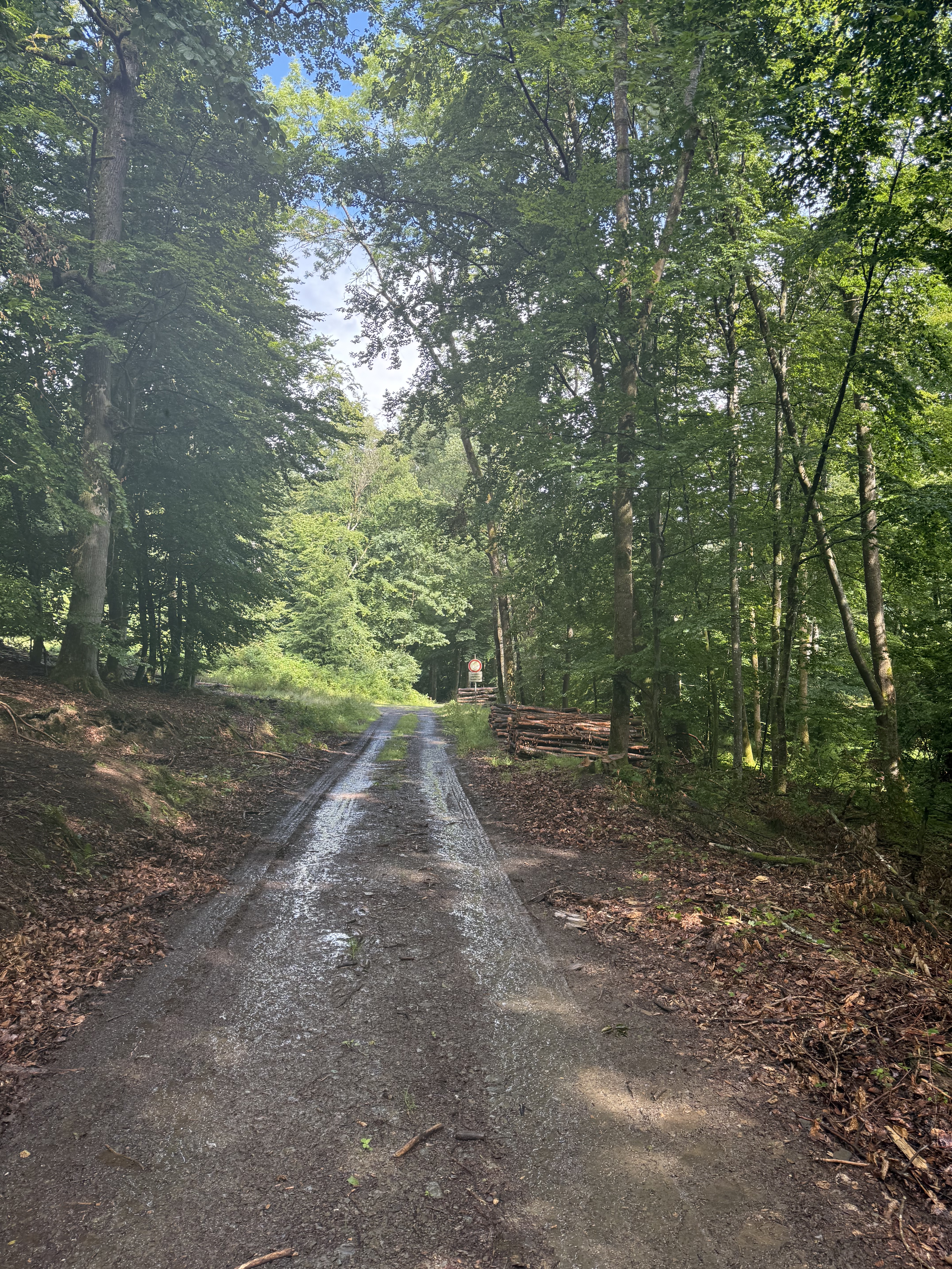 In der Grube, Breidenbach to Vater-Jahn-Straße, Biedenkopf