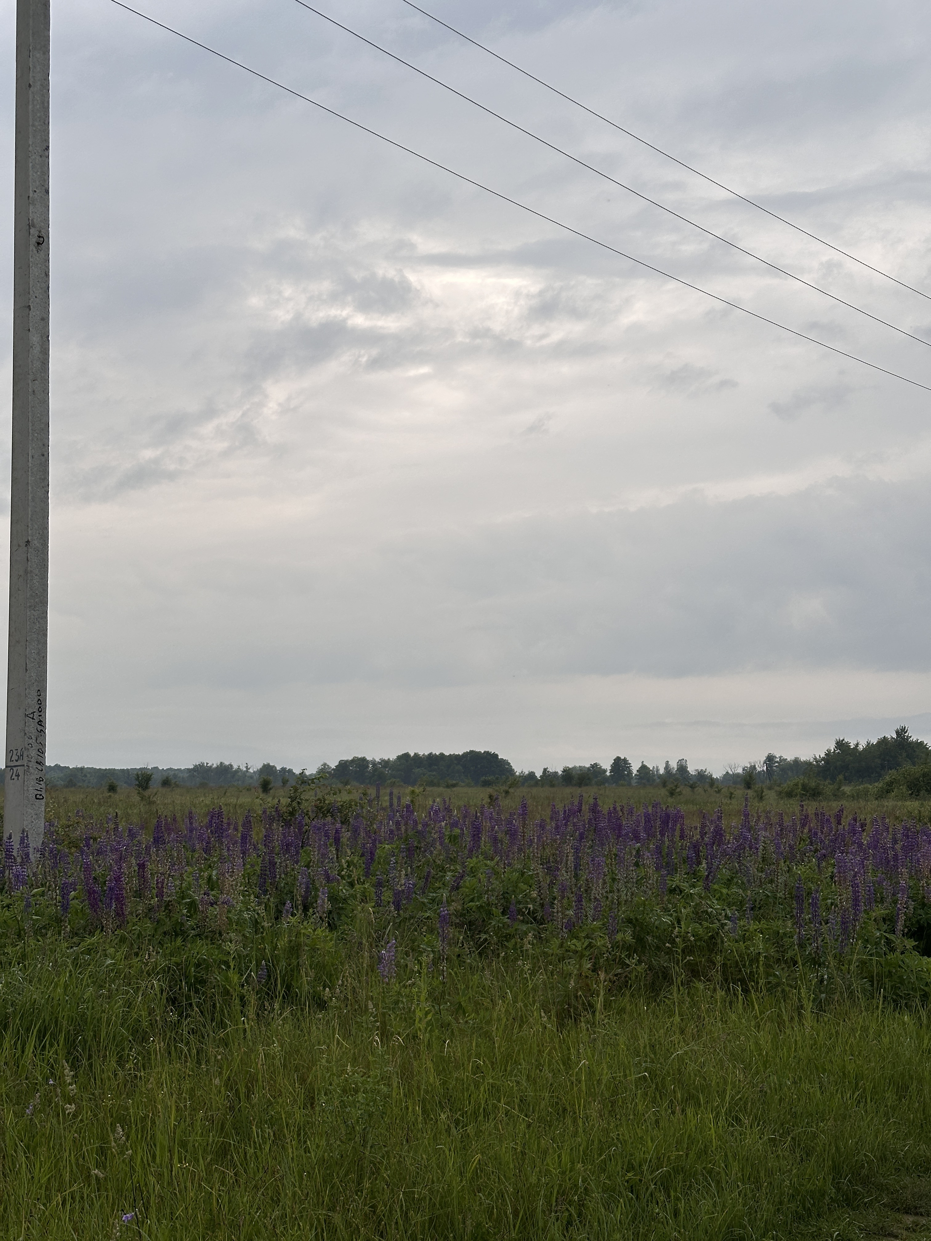 Sachenka Street, Korosten to Sachenka Street, Korosten