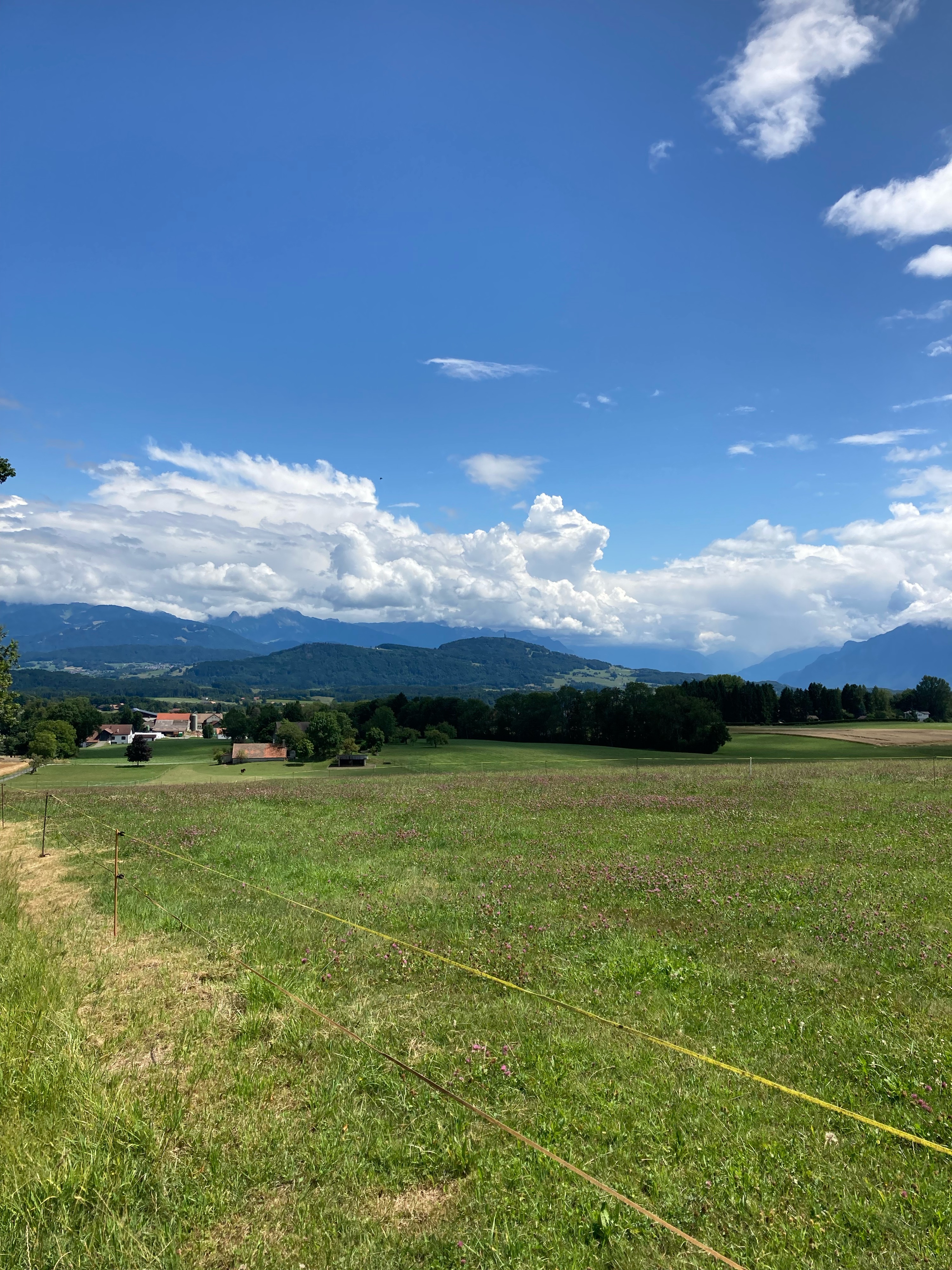 LS-Les Cullayes_2025.07.24