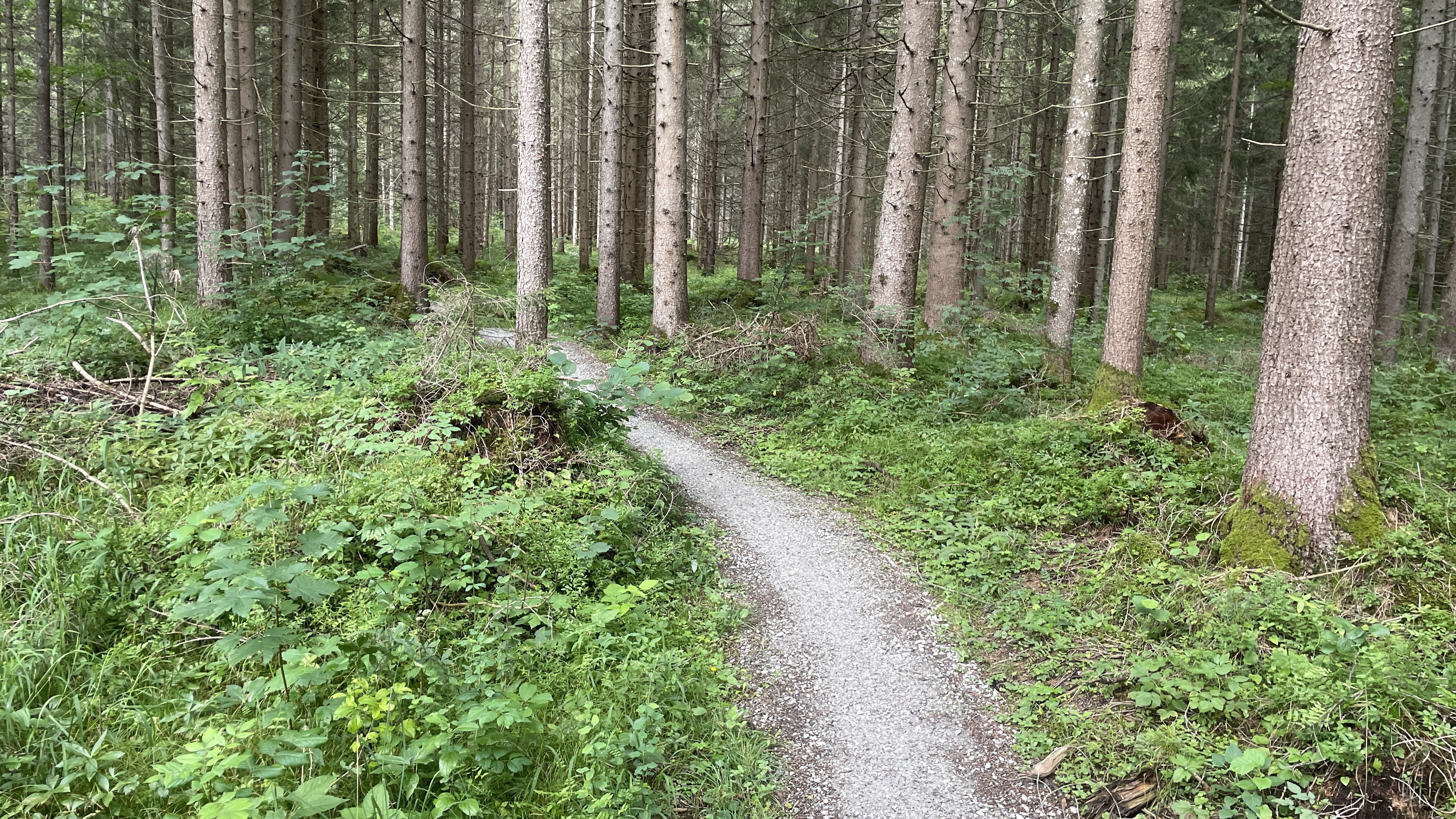 Gumpenberg, Haus im Ennstal - Gumpenberg, Haus im Ennstal