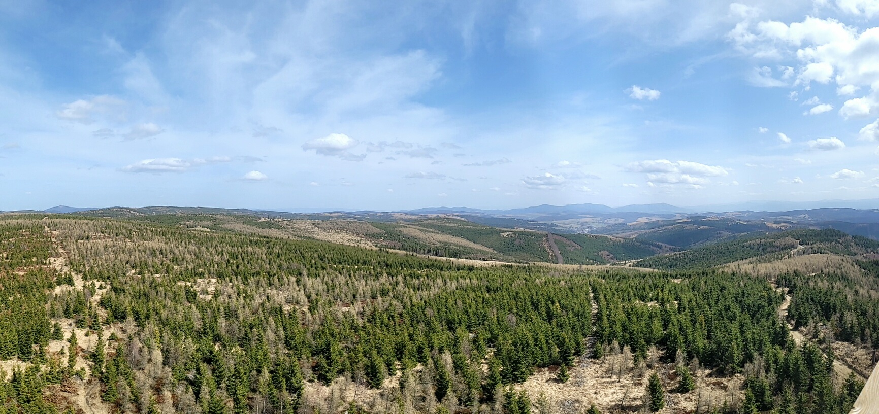 Marčulina 2025-04-17 10:11:02