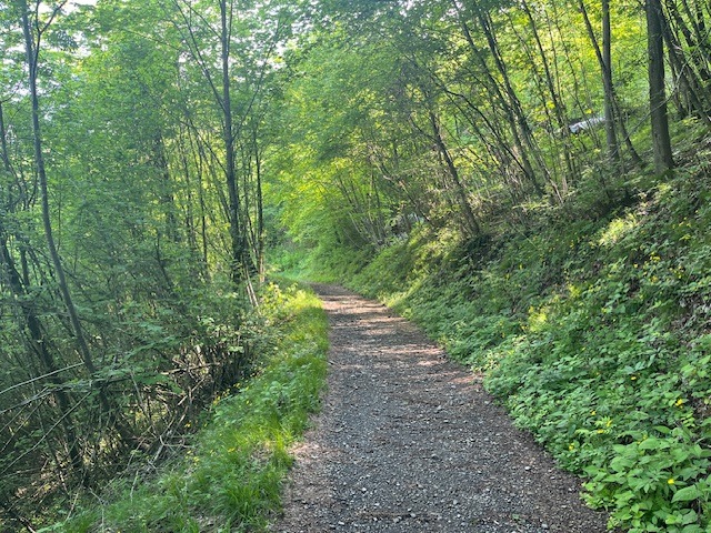 Baite dei Mùch