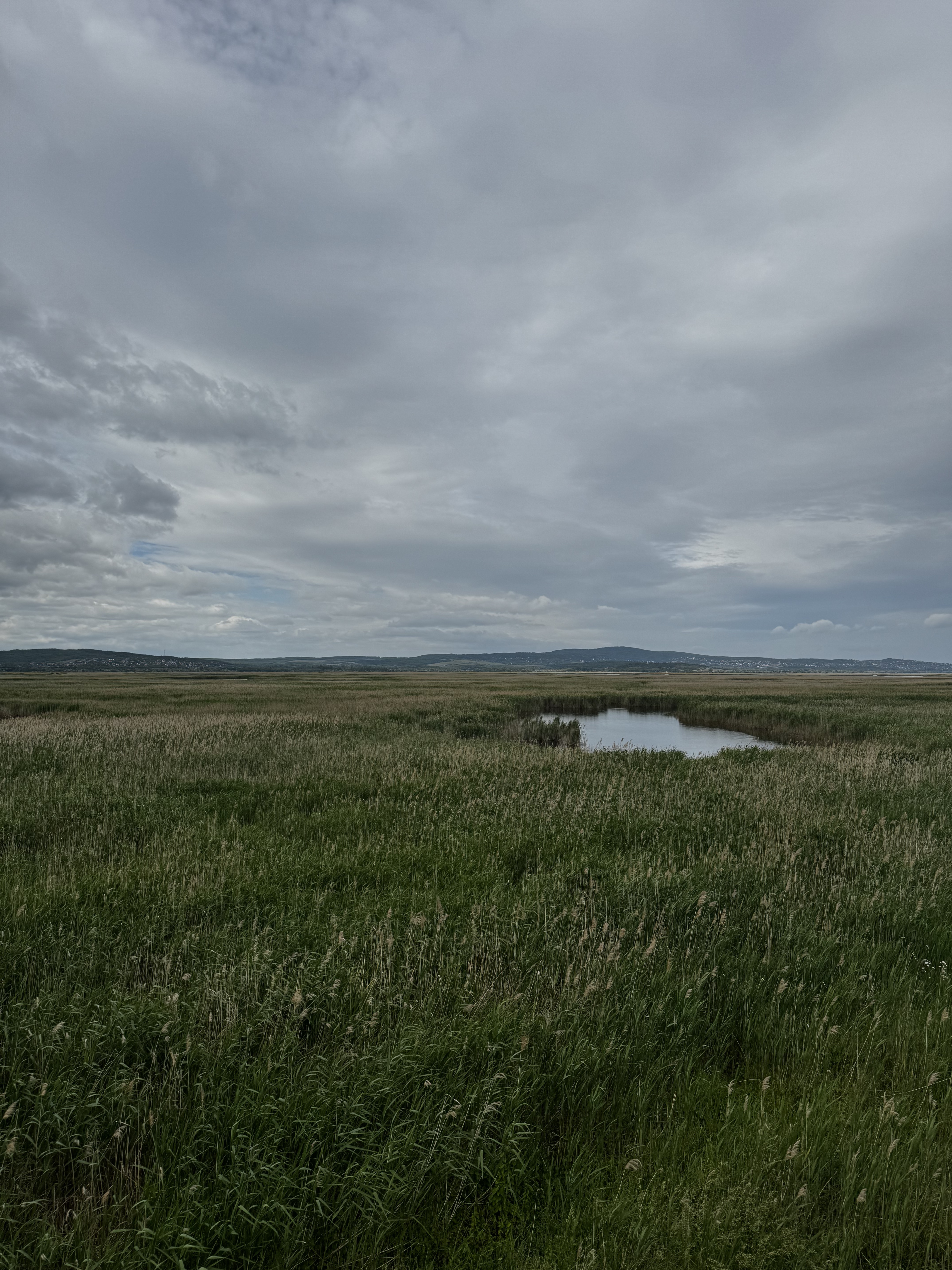 Üdülők útja, Gárdony - Üdülők útja, Gárdony