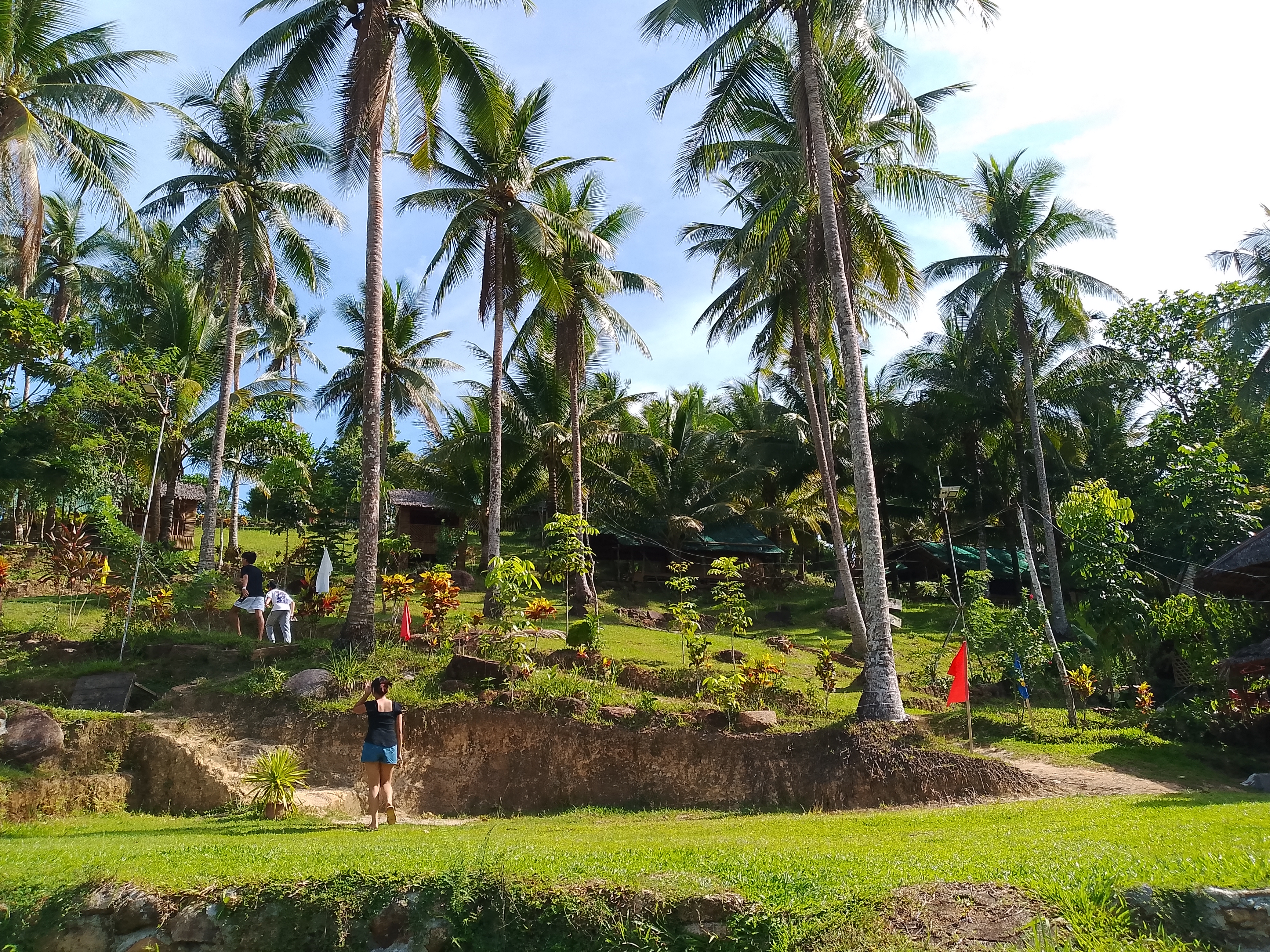 brgy maslog to paho destrict