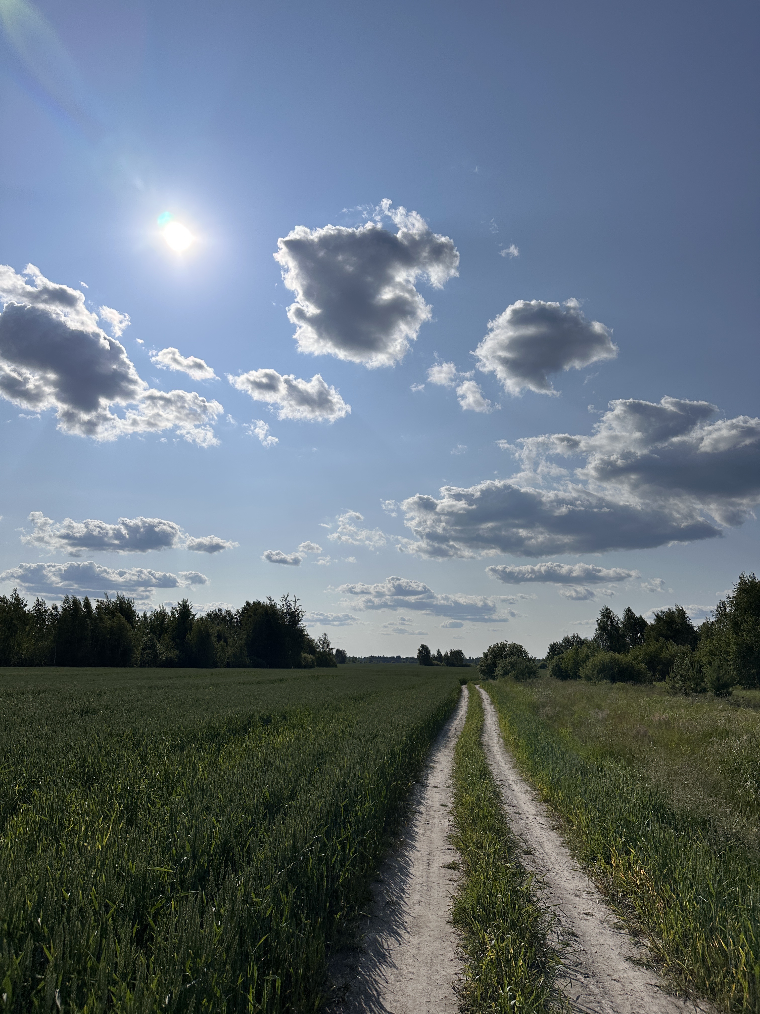 Sachenka Street, Korosten to Sachenka Street, Korosten
