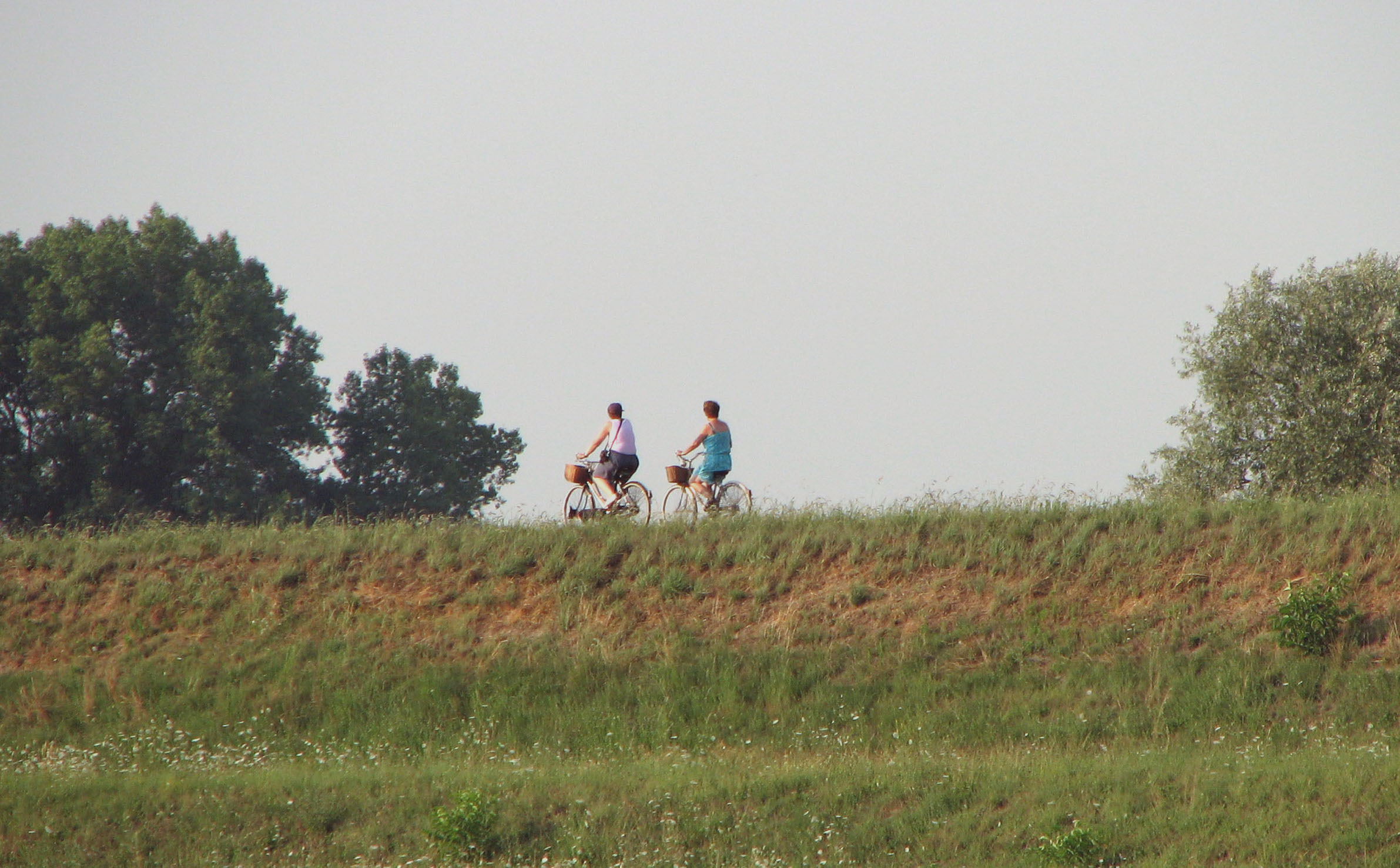 Parma to Reggio Emilia