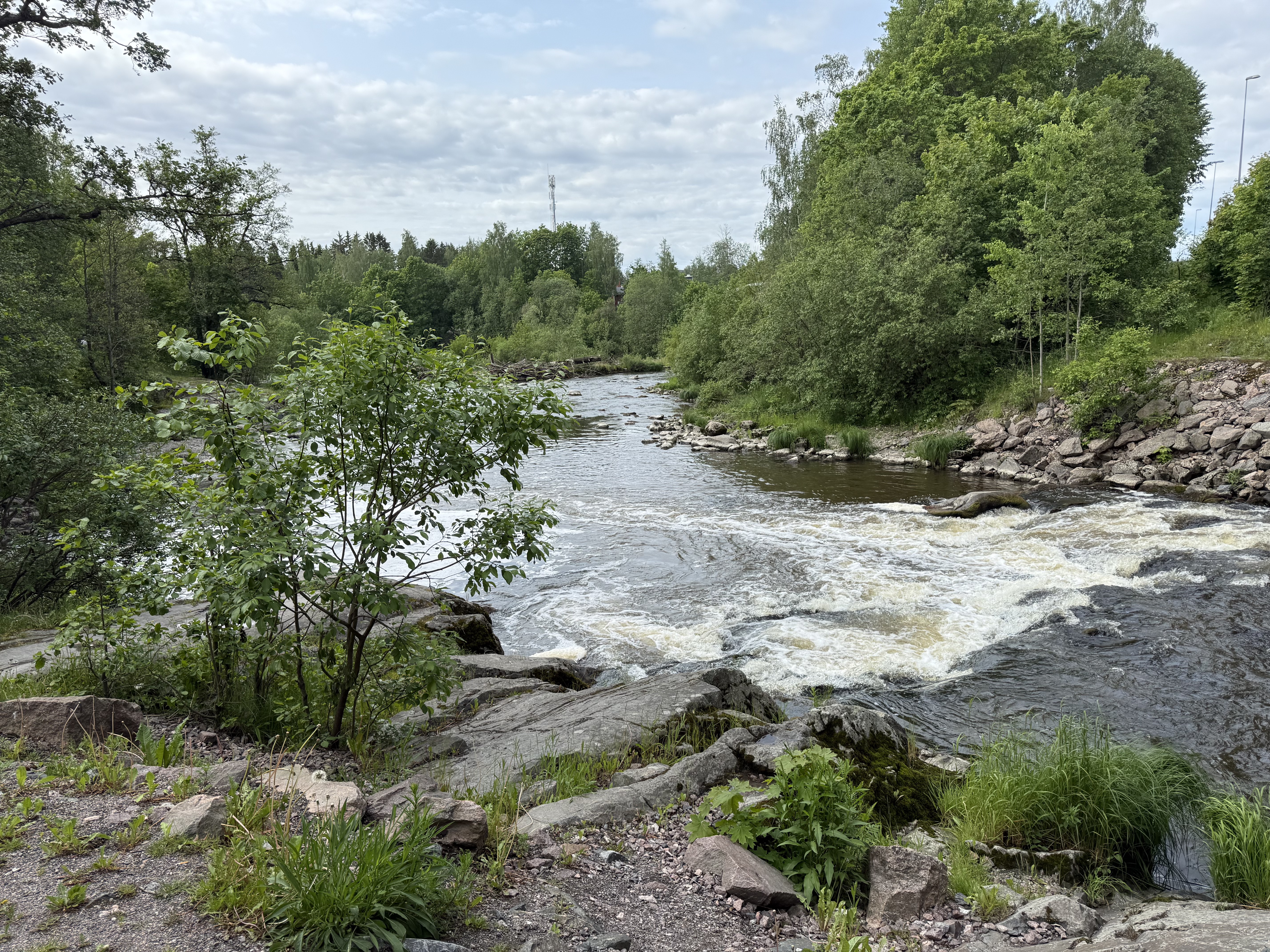 Metsikkötie, Vantaa to Metsikkötie, Vantaa