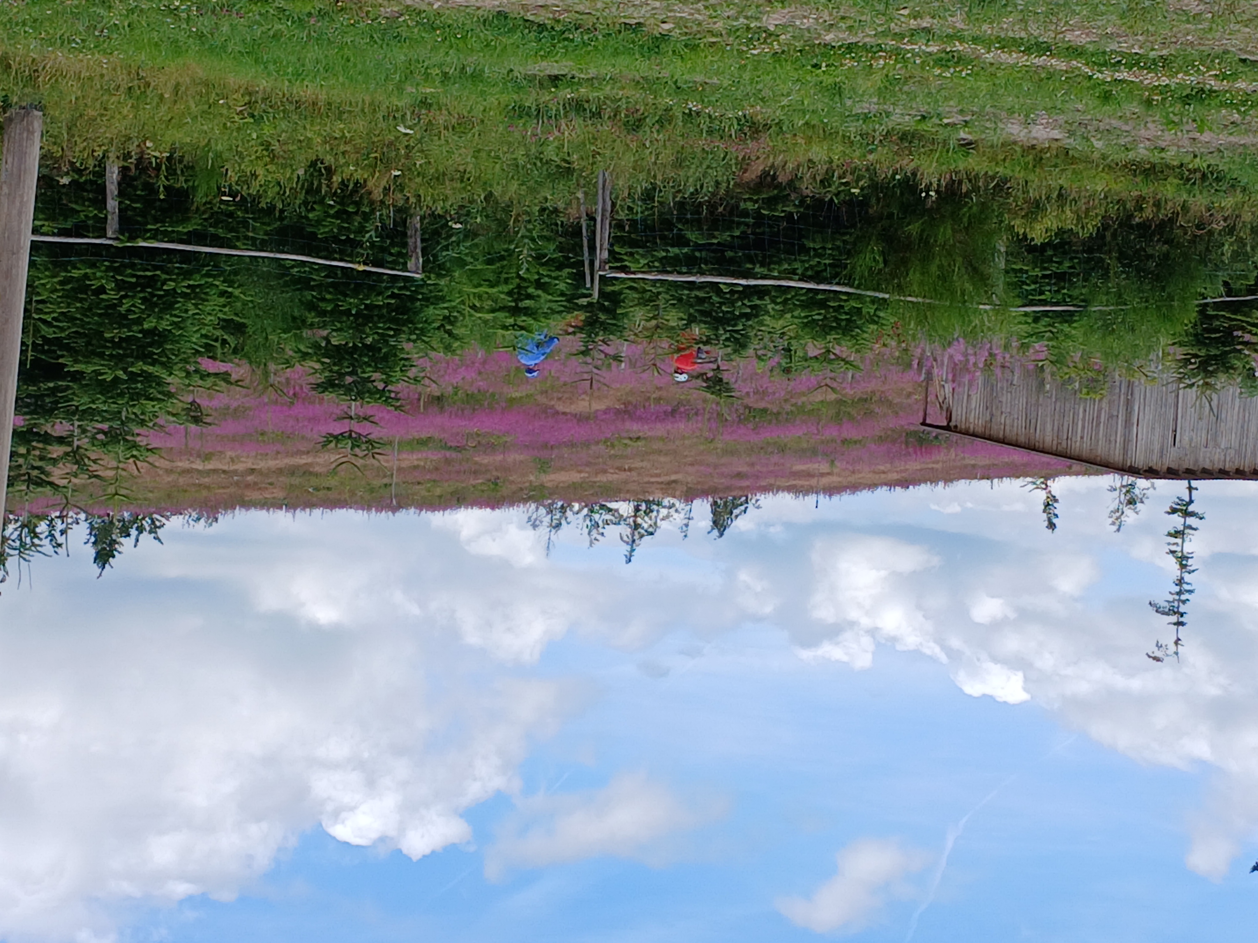 Foto 4 der Bikemap-Route "10.07.25 Berleburg, Latzbruch, Petersgrund, AmSohl, Dambach, BLB 10.07.25" Foto 4 der Bikemap-Route "10.07.25 Berleburg, Latzbruch, Petersgrund, AmSohl, Dambach, BLB 10.07.25"