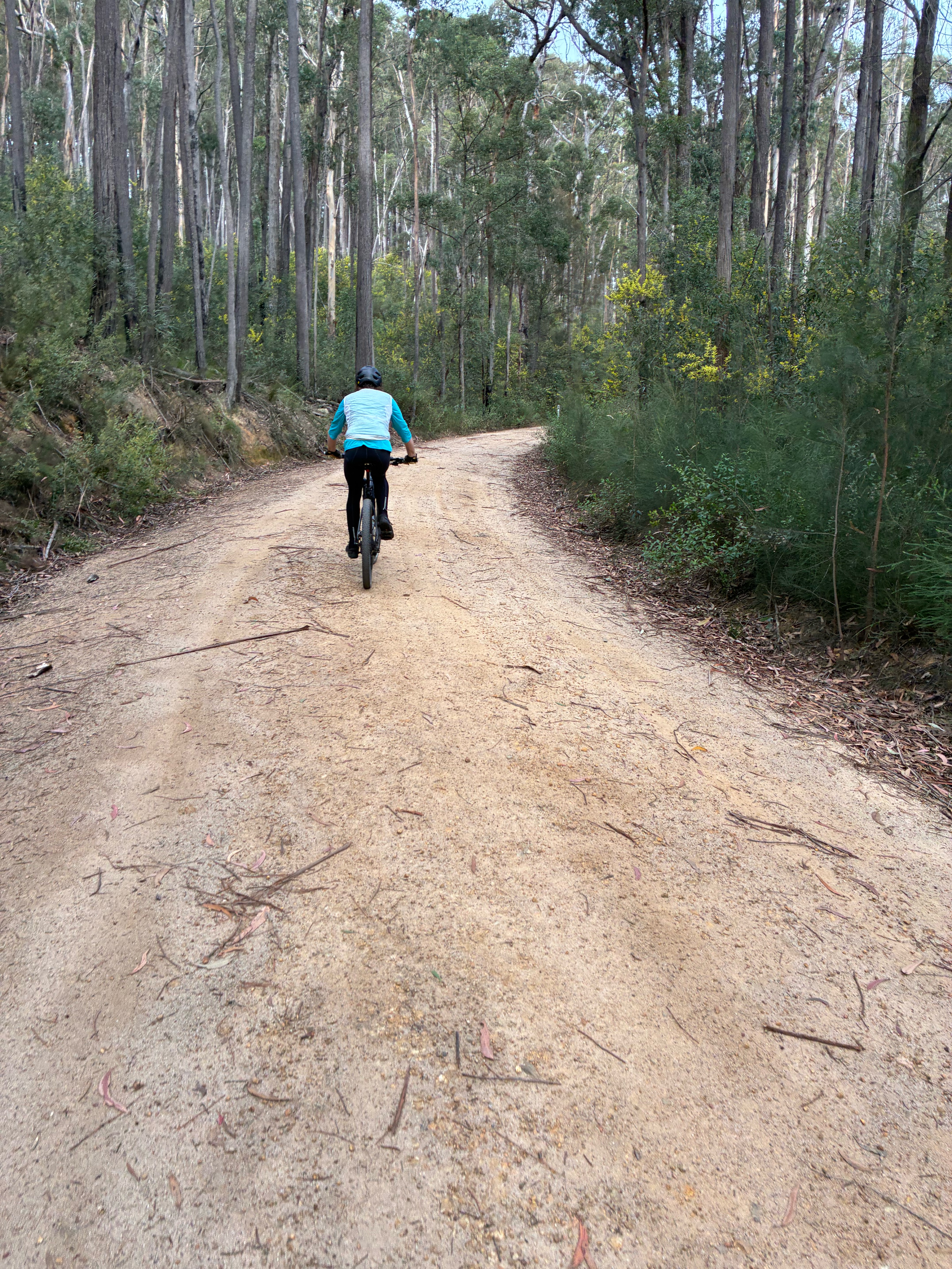Tarraganda La, Tarraganda to High St, Bega
