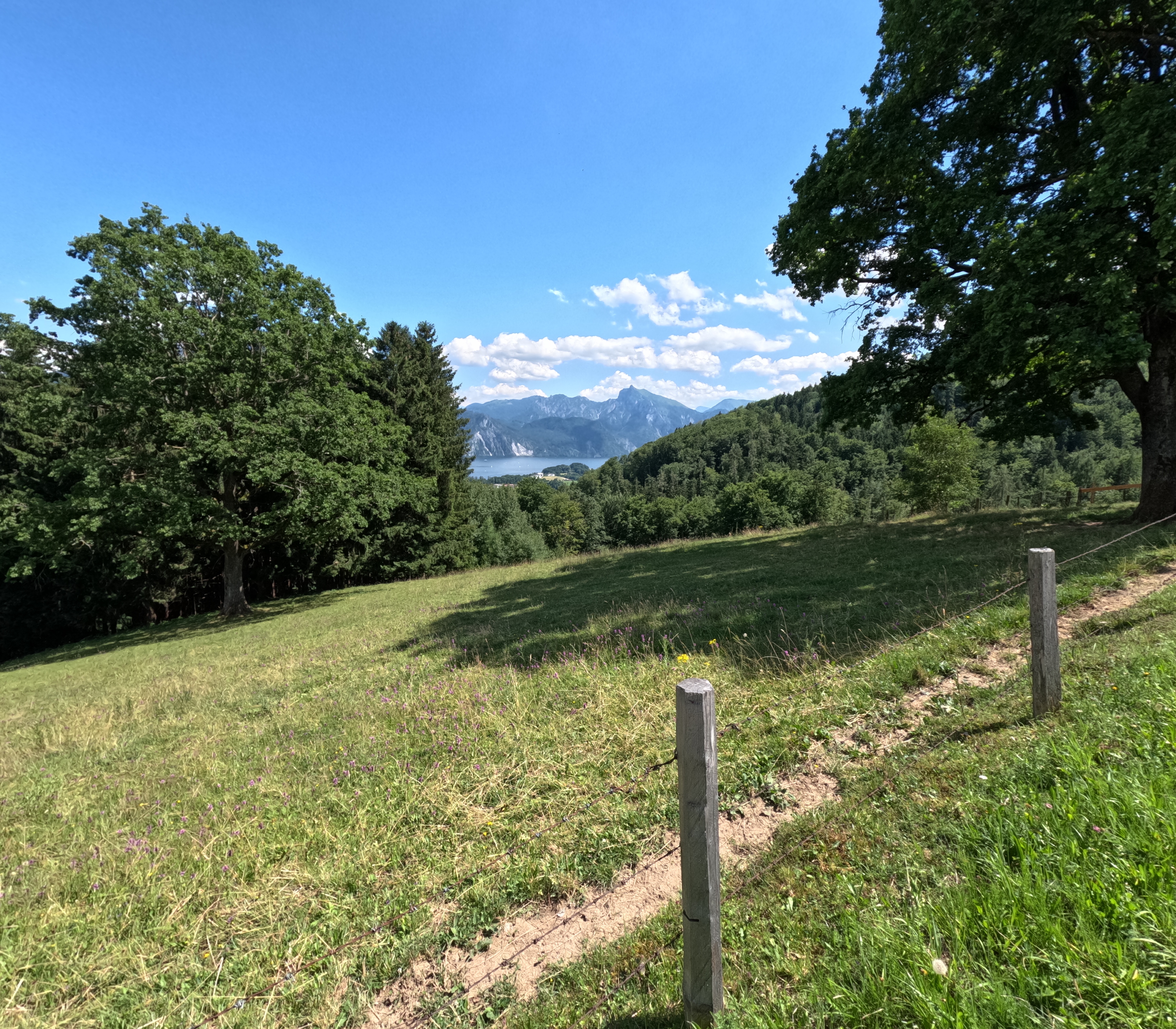 Blick auf Schloss Ort – Blick auf den Traunsee Runde von Gmunden Mülibankerl.  🚴♂️🚴