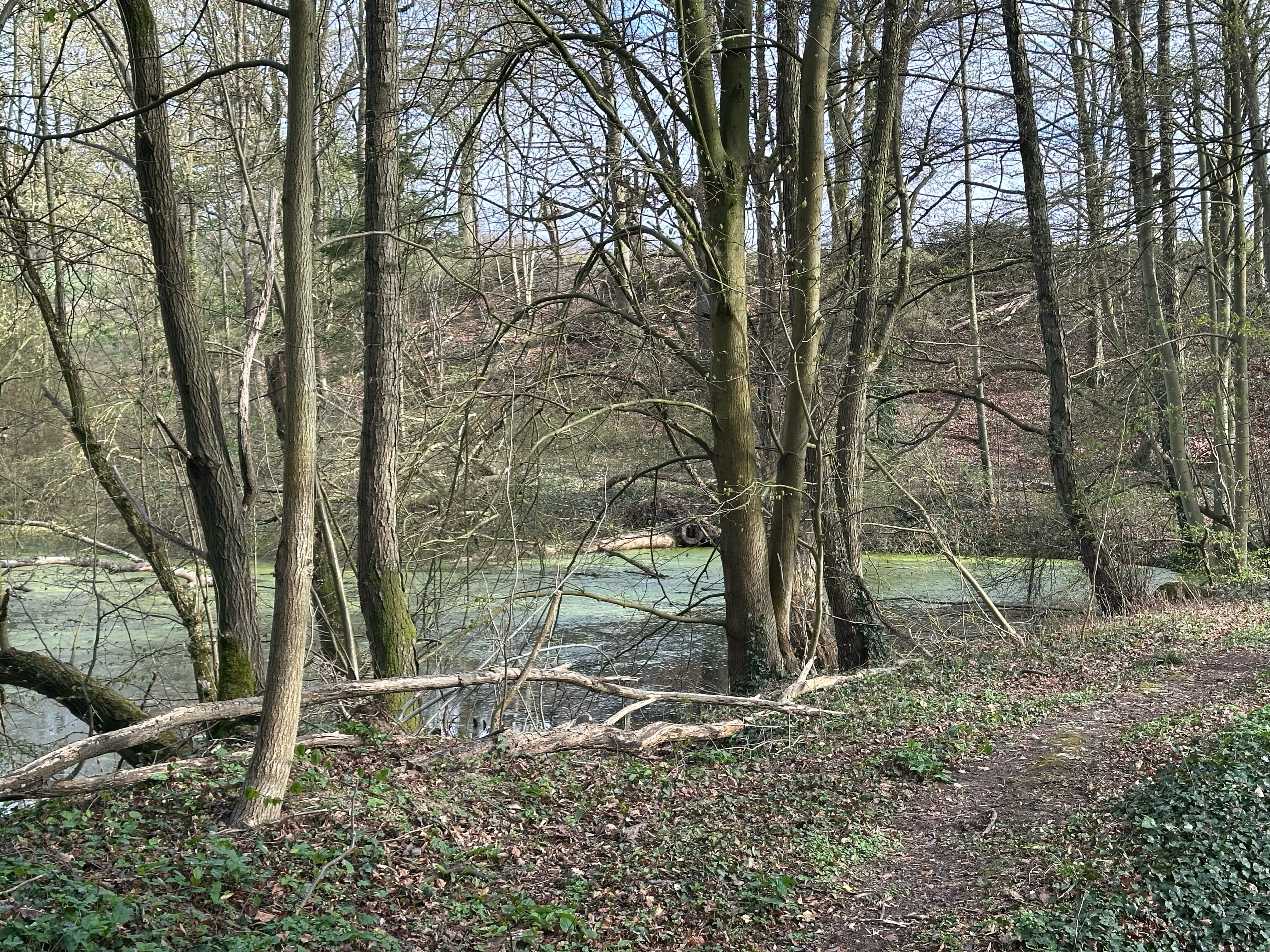 Saganer Straße 8, Hildesheim nach Schildweg, Hildesheim