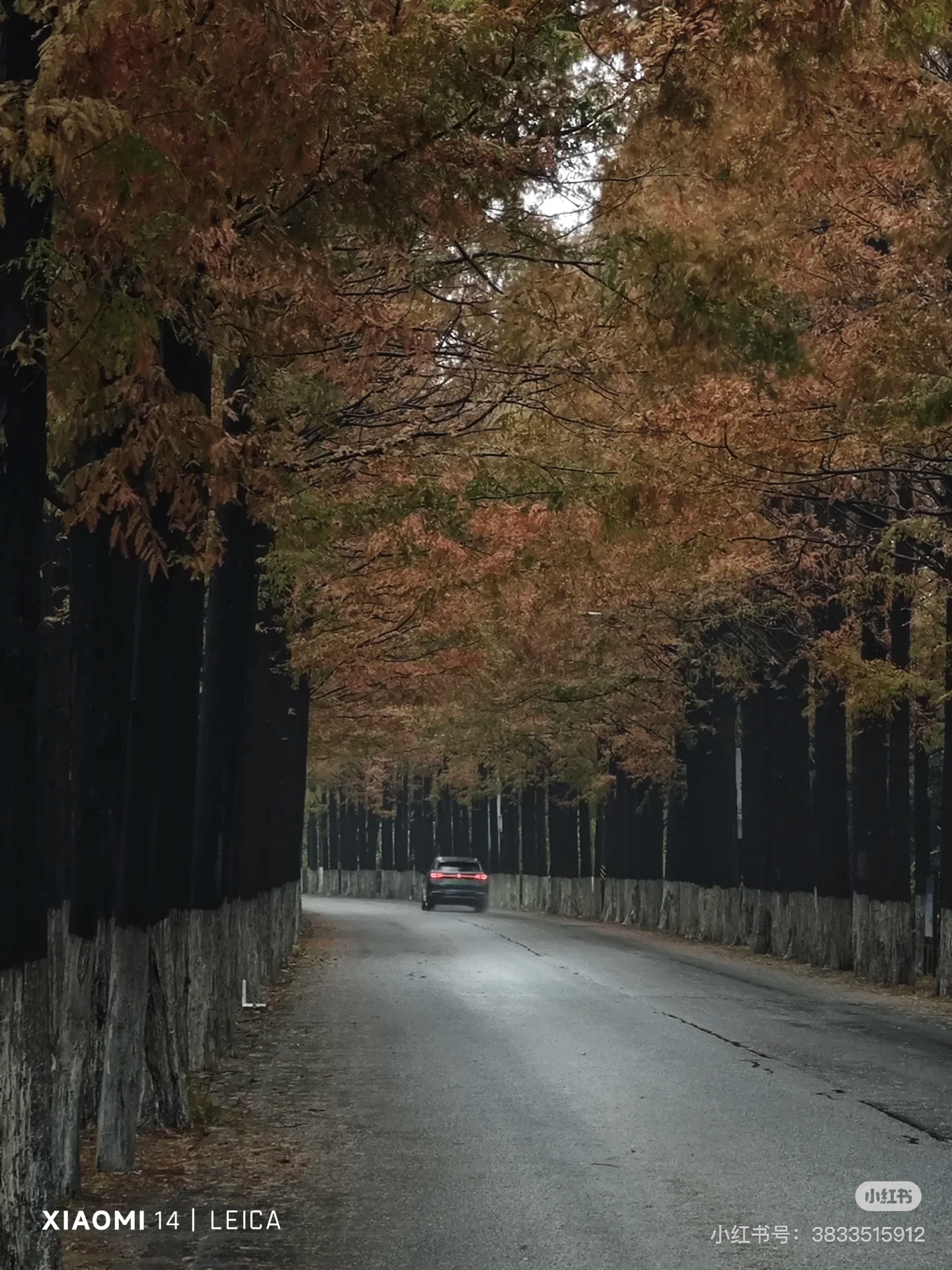 Route in Shanghai