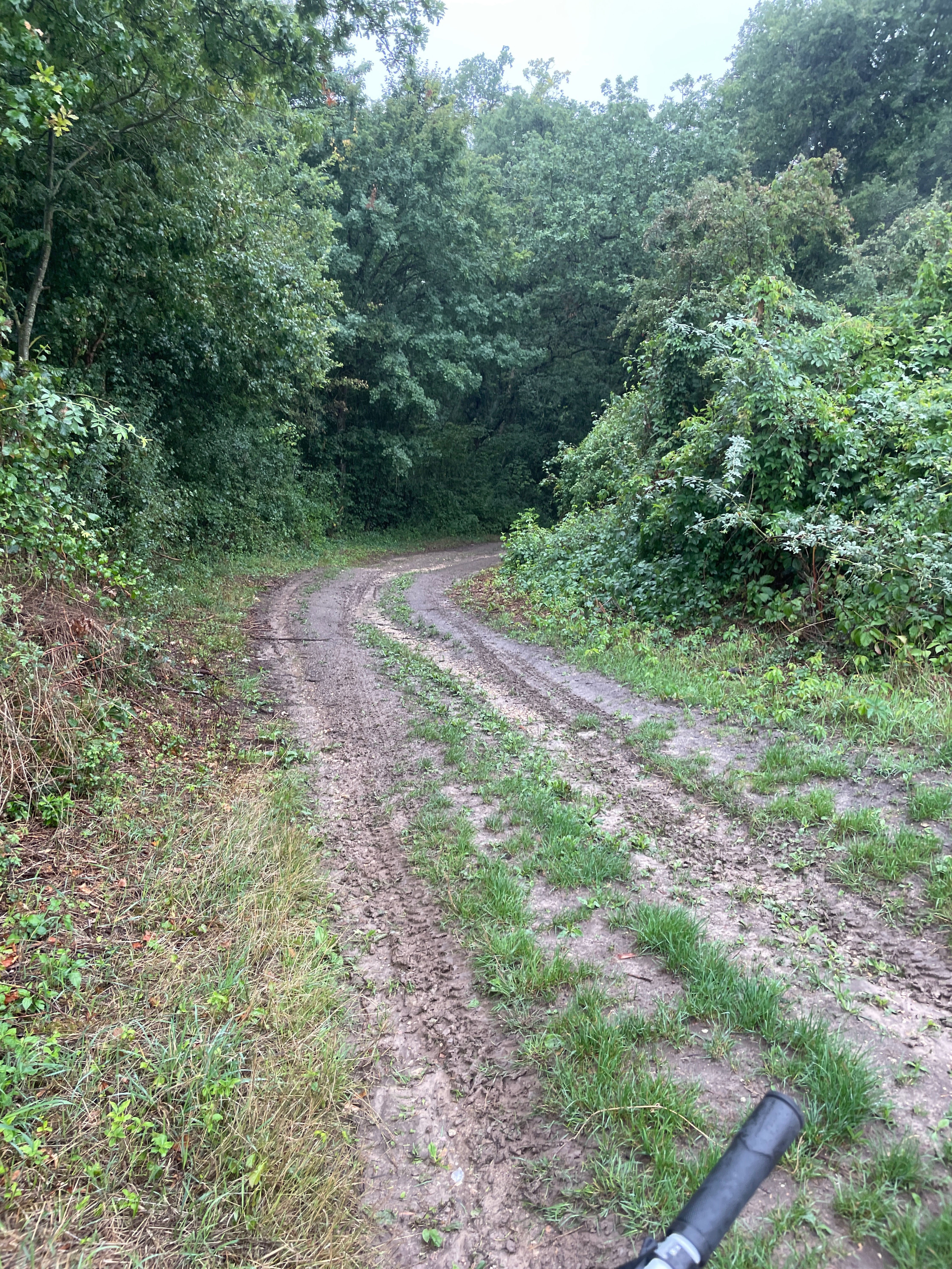 Route in Château-Landon