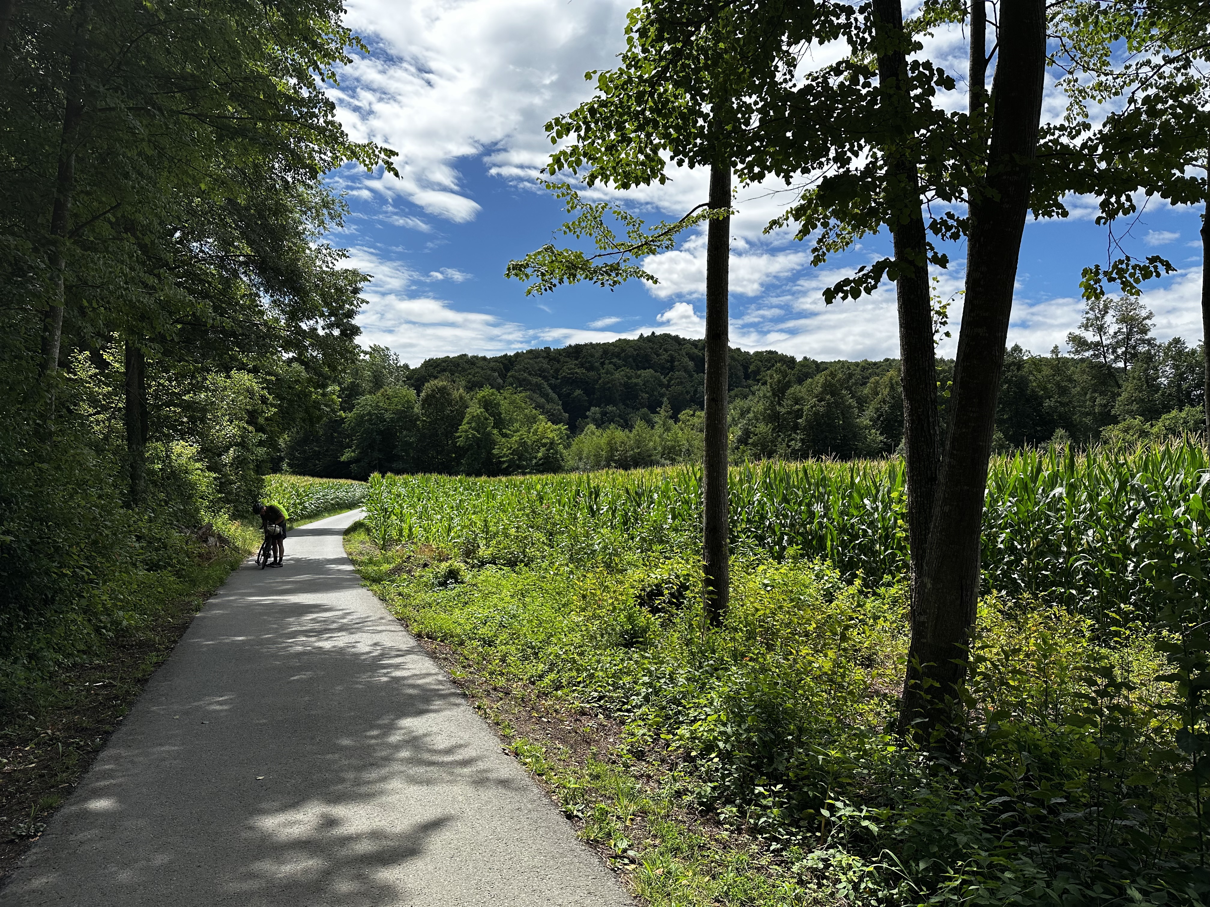 Fluttendorf, Mureck nach Südbahnstraße, Straß in Steiermark