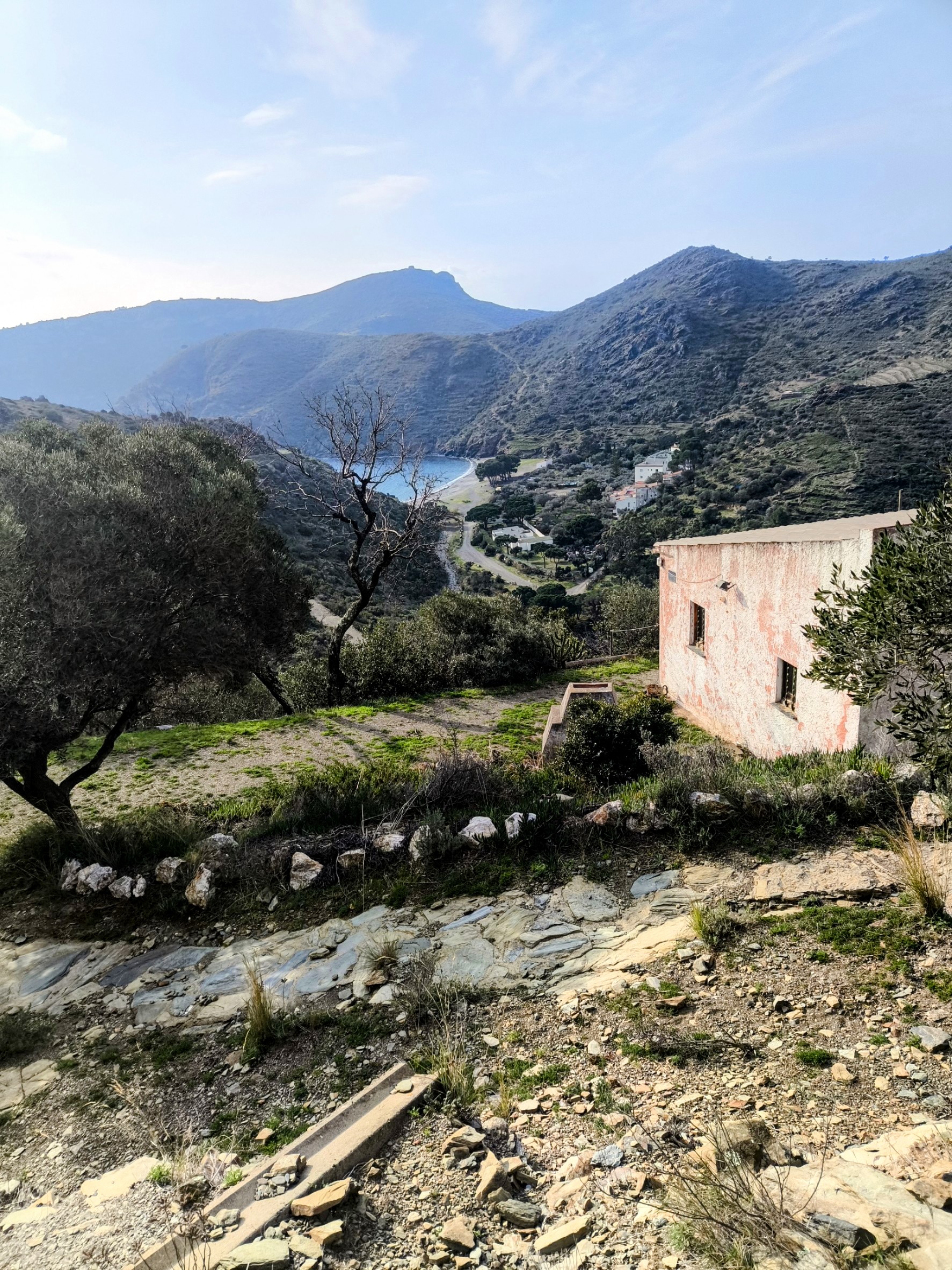 17 Roses Perafita Cadaqués Manyana Joncols Canadell Montjoi