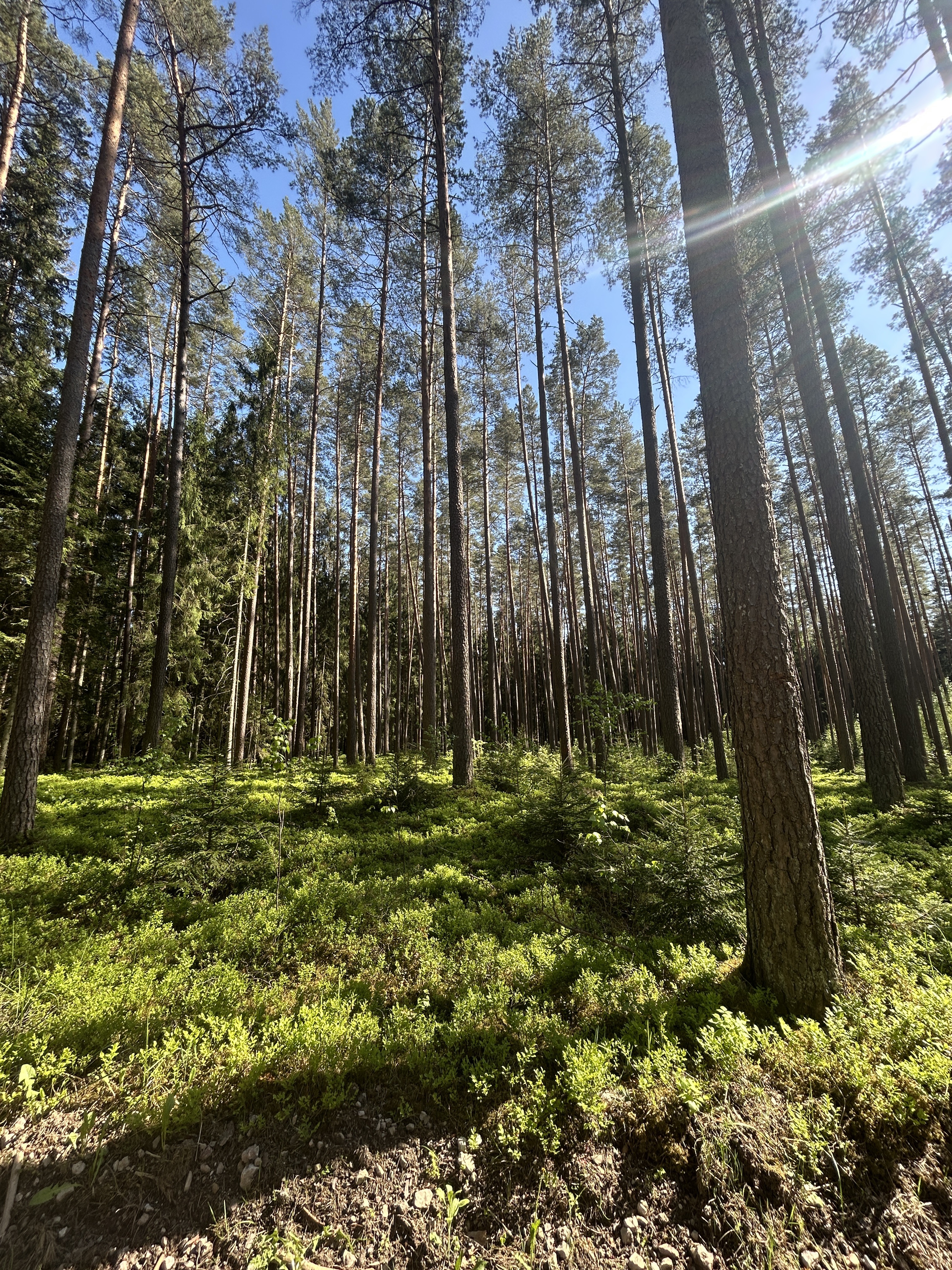 Zemgales prospekts, Jelgava to Pērnavas iela, Riga