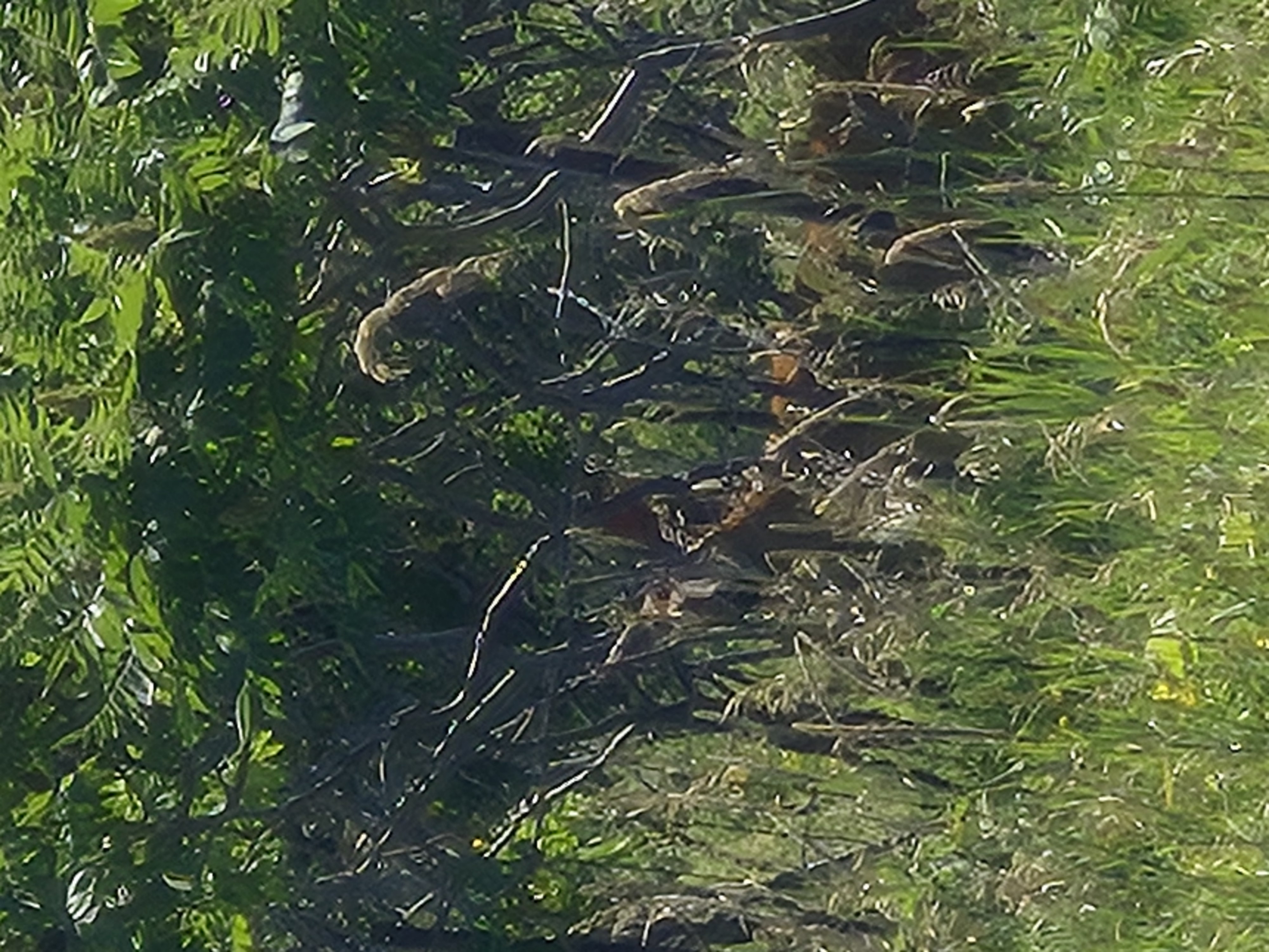 De Road à Leander Street