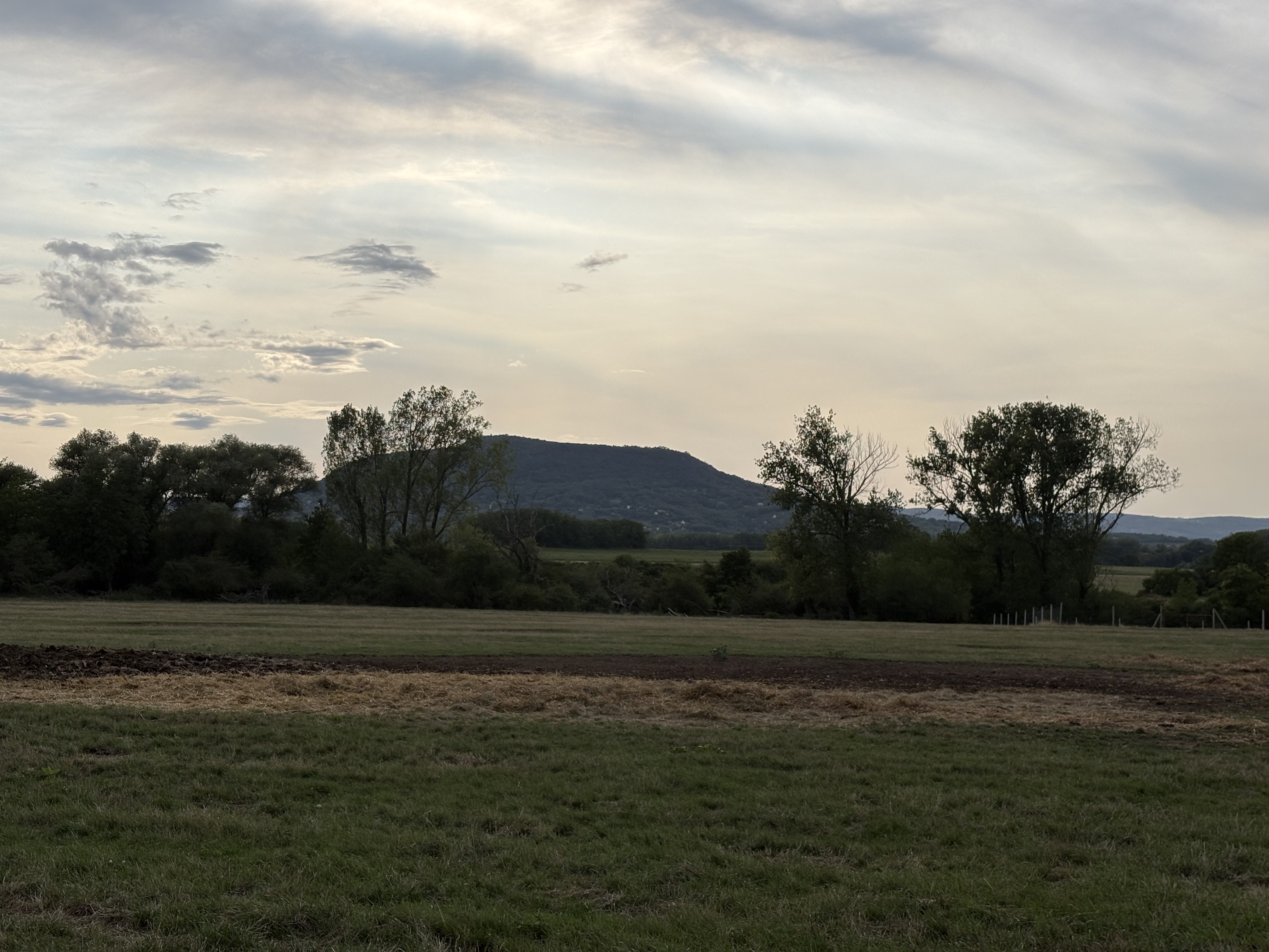 7313-as mellékút, Káptalantóti - Fő utca, Badacsonytomaj