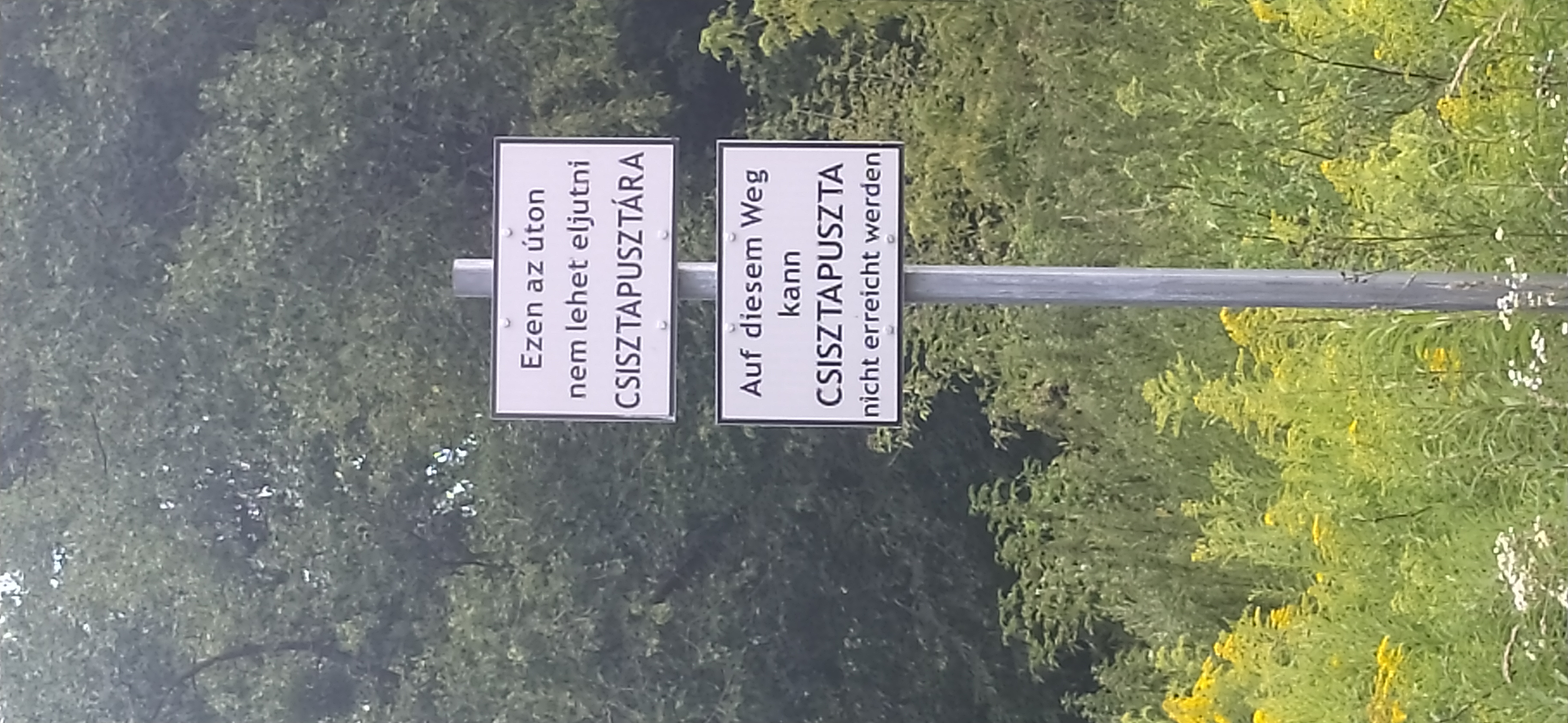 Nyugodt útvonal