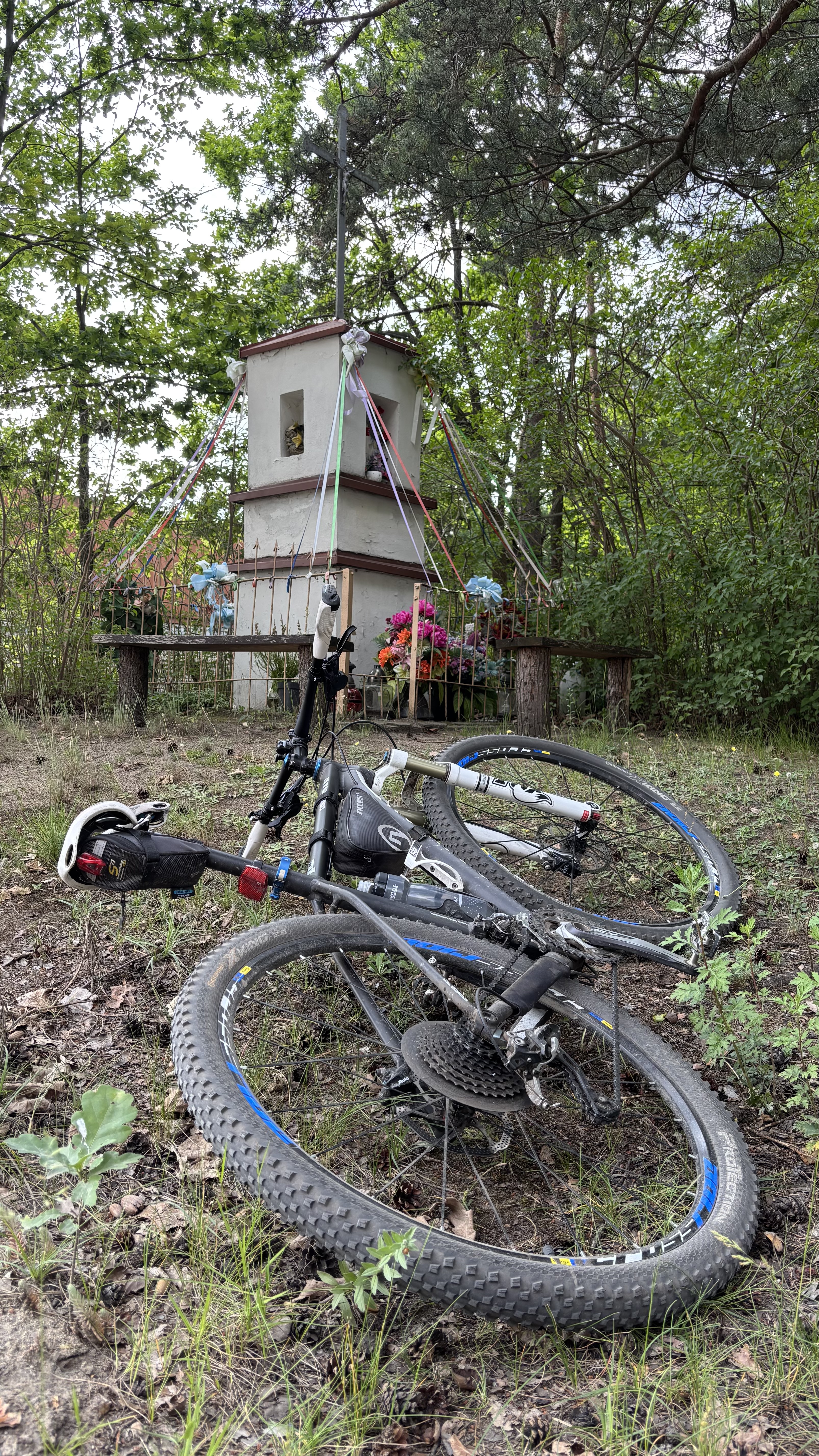 Króla J Sobieskiego, Puszcza Mariańska do Króla J Sobieskiego, Puszcza Mariańska