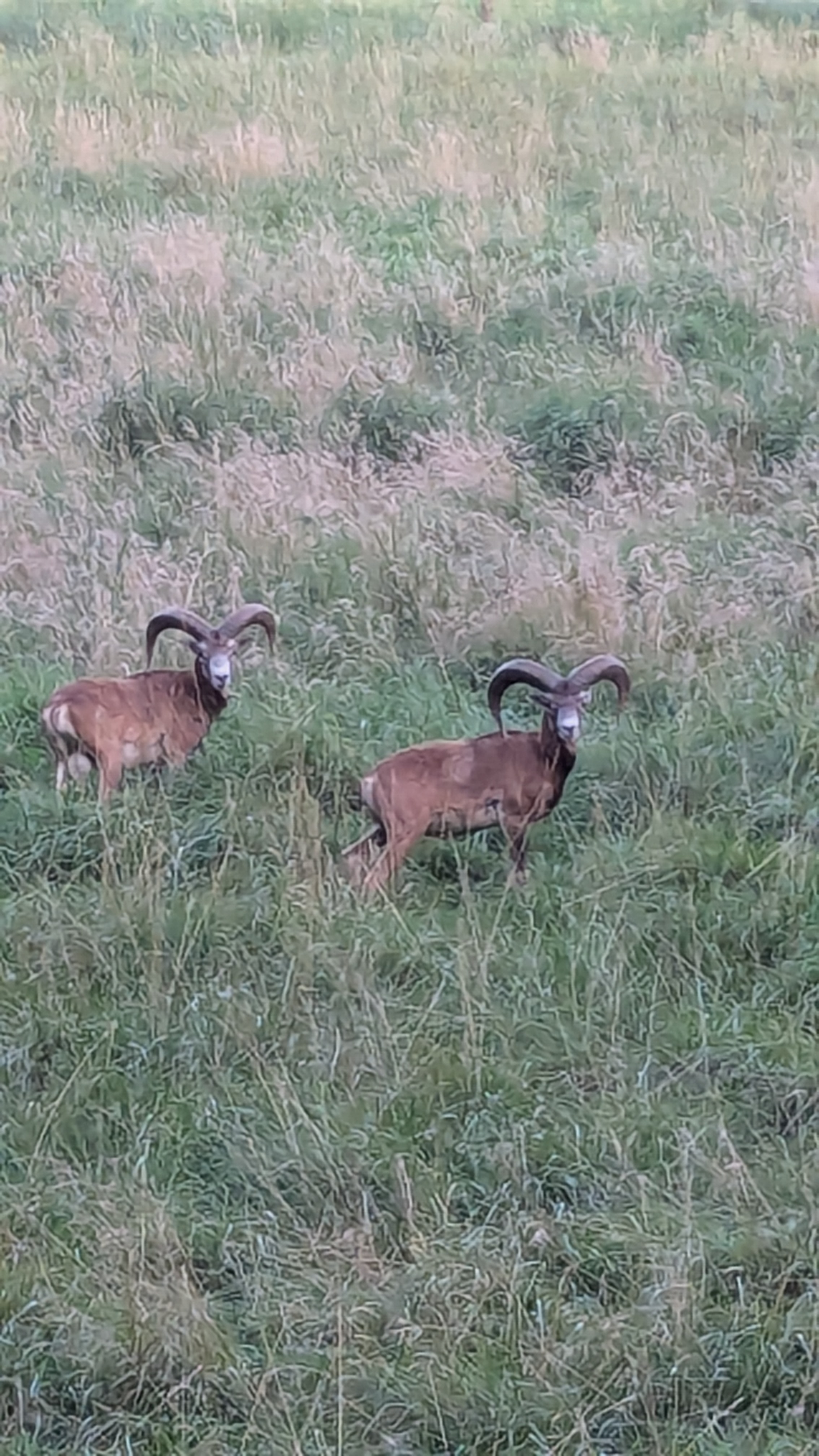 Photo 8 of the Bikemap route "Malchow nach Lenz" Photo 8 of the Bikemap route "Malchow nach Lenz"
