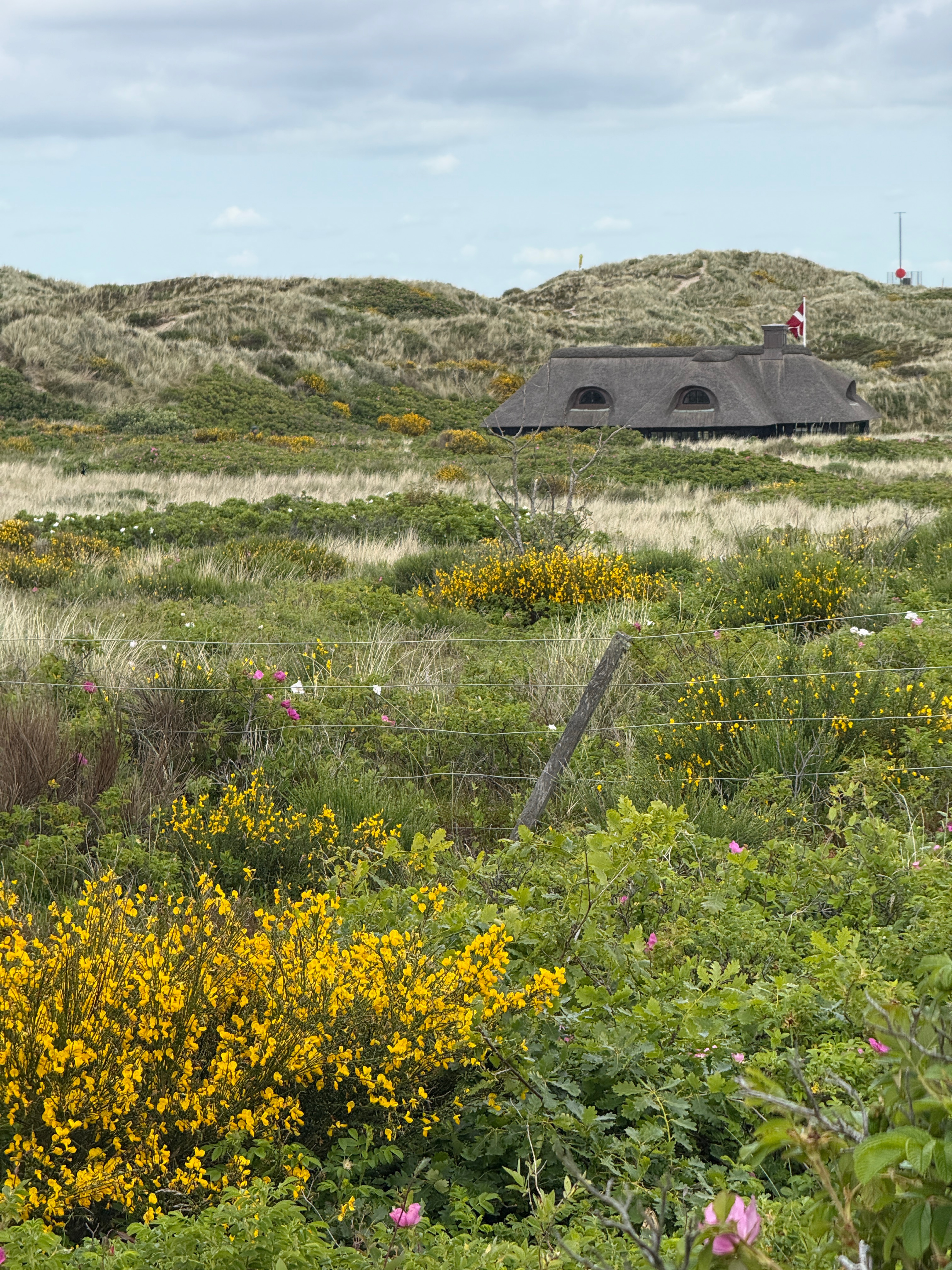 Oksby, Blåvand nach Oksby, Blåvand