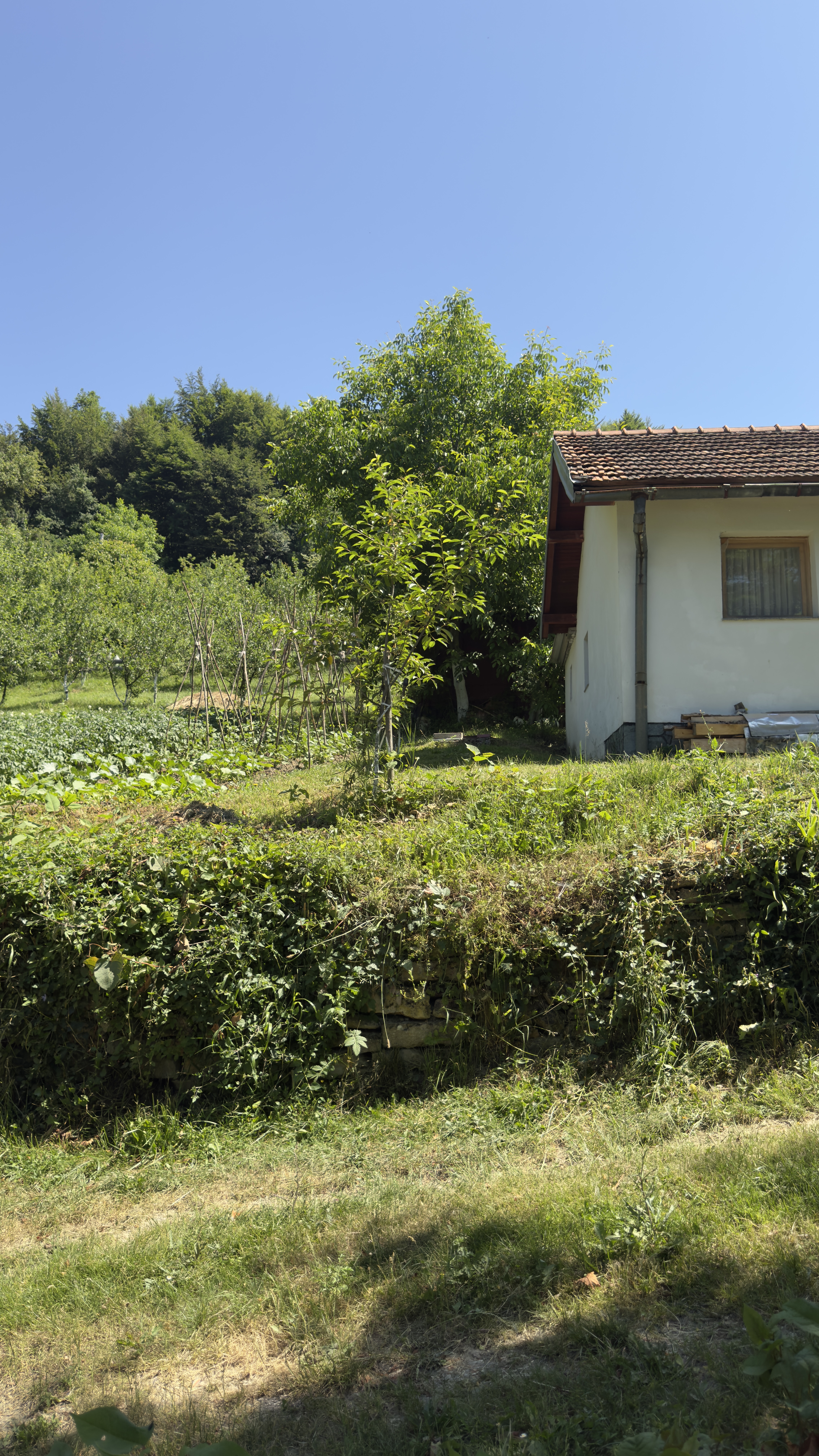 Paljevska, Sarajevo to Paljevska, Sarajevo