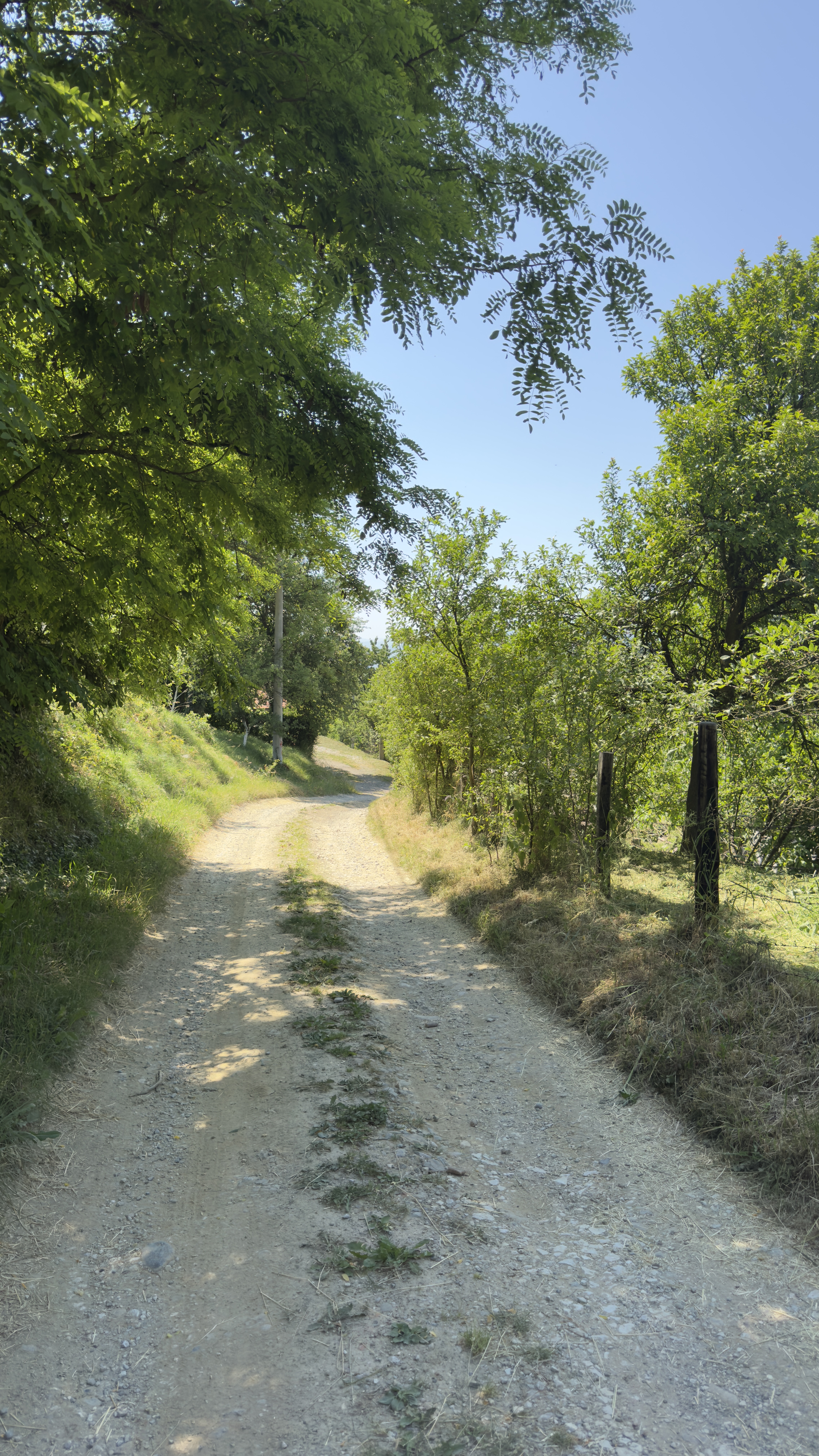 Paljevska, Sarajevo to Paljevska, Sarajevo