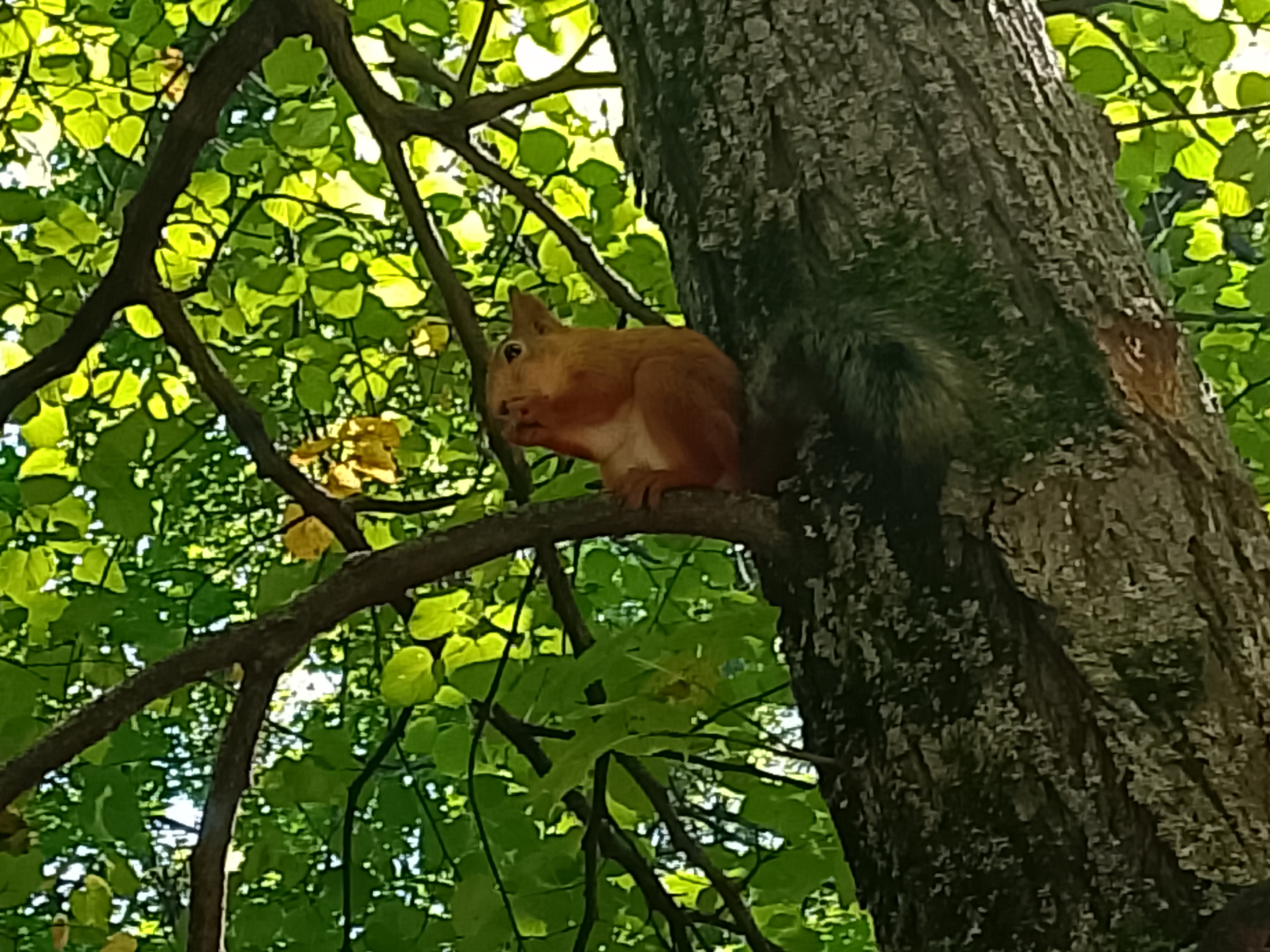 От улица Степана Злобина до улица Баргузинская