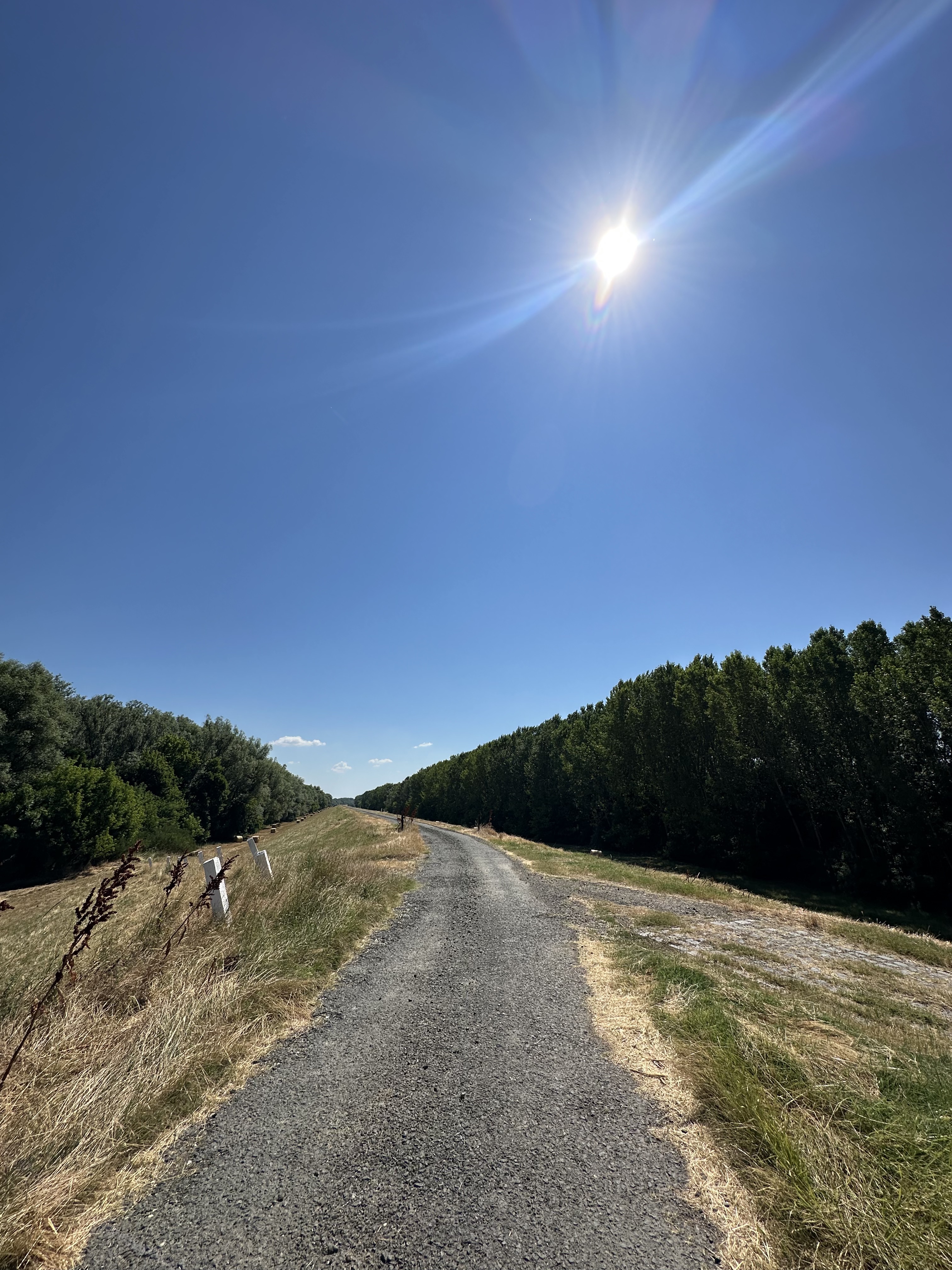 Népkert sor, Szeged - Népkert sor, Szeged