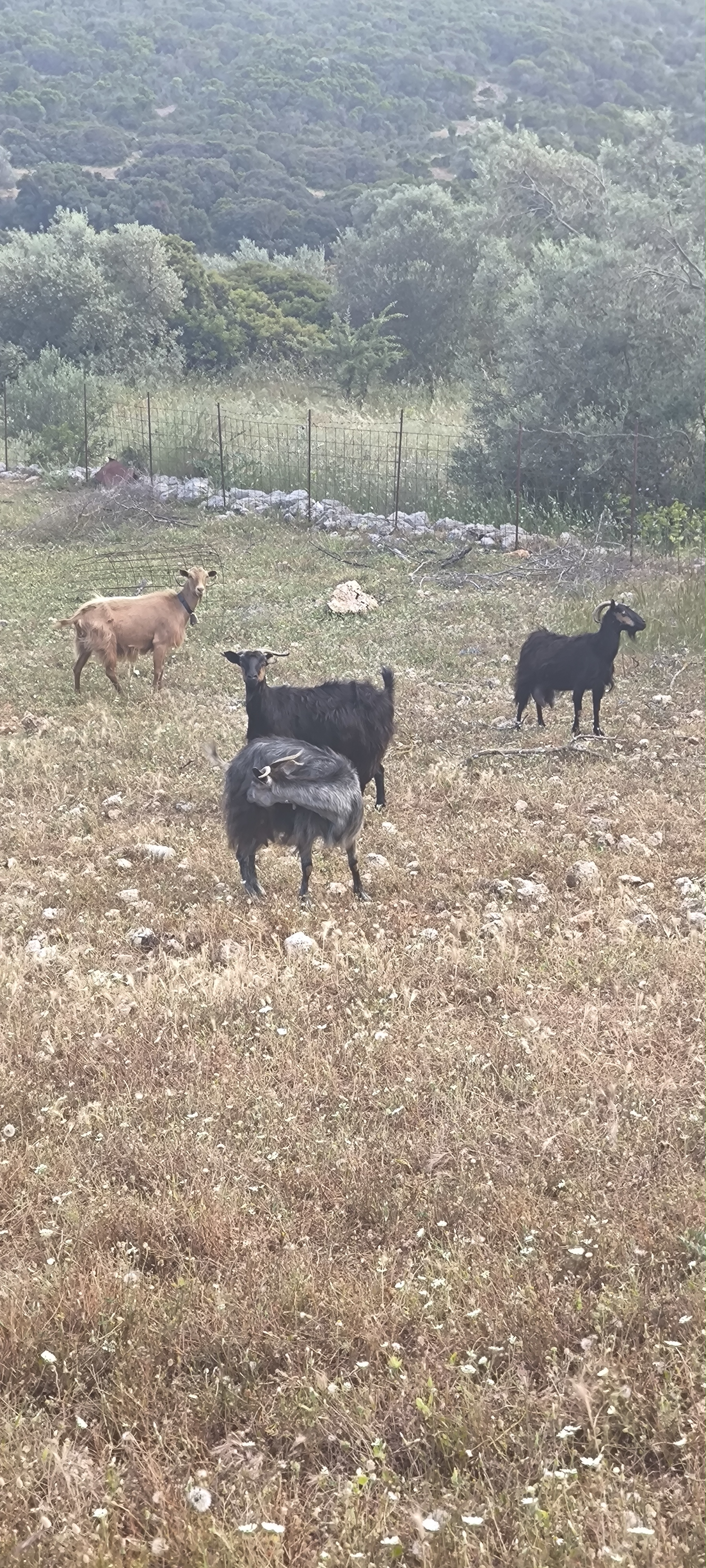 Via Haeselbrunn nach Via Haeselbrunn