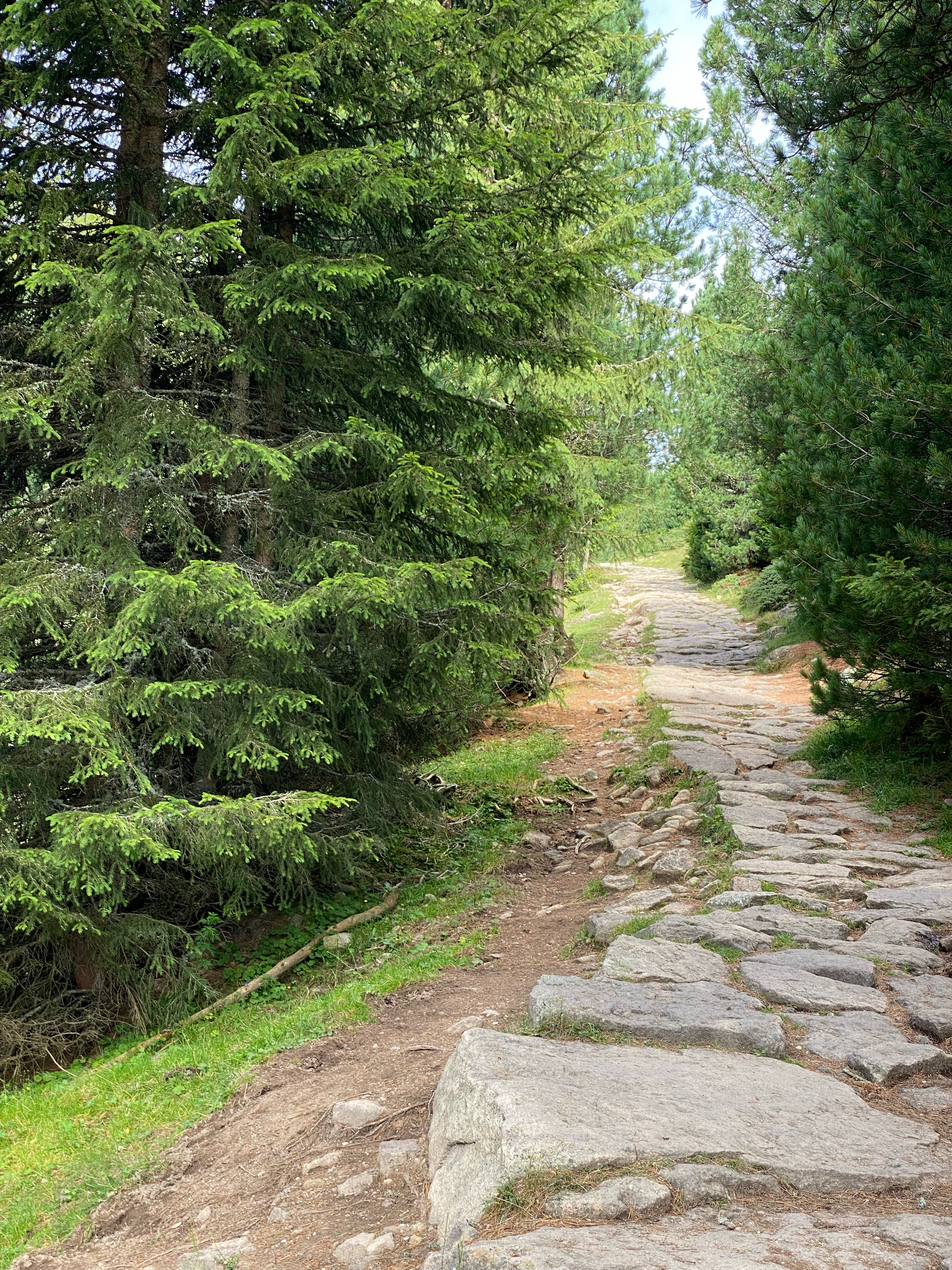 Foto 2 der Bikemap-Route "St. Ulrich nach Scurciastraße, St. Ulrich" Foto 2 der Bikemap-Route "St. Ulrich nach Scurciastraße, St. Ulrich"